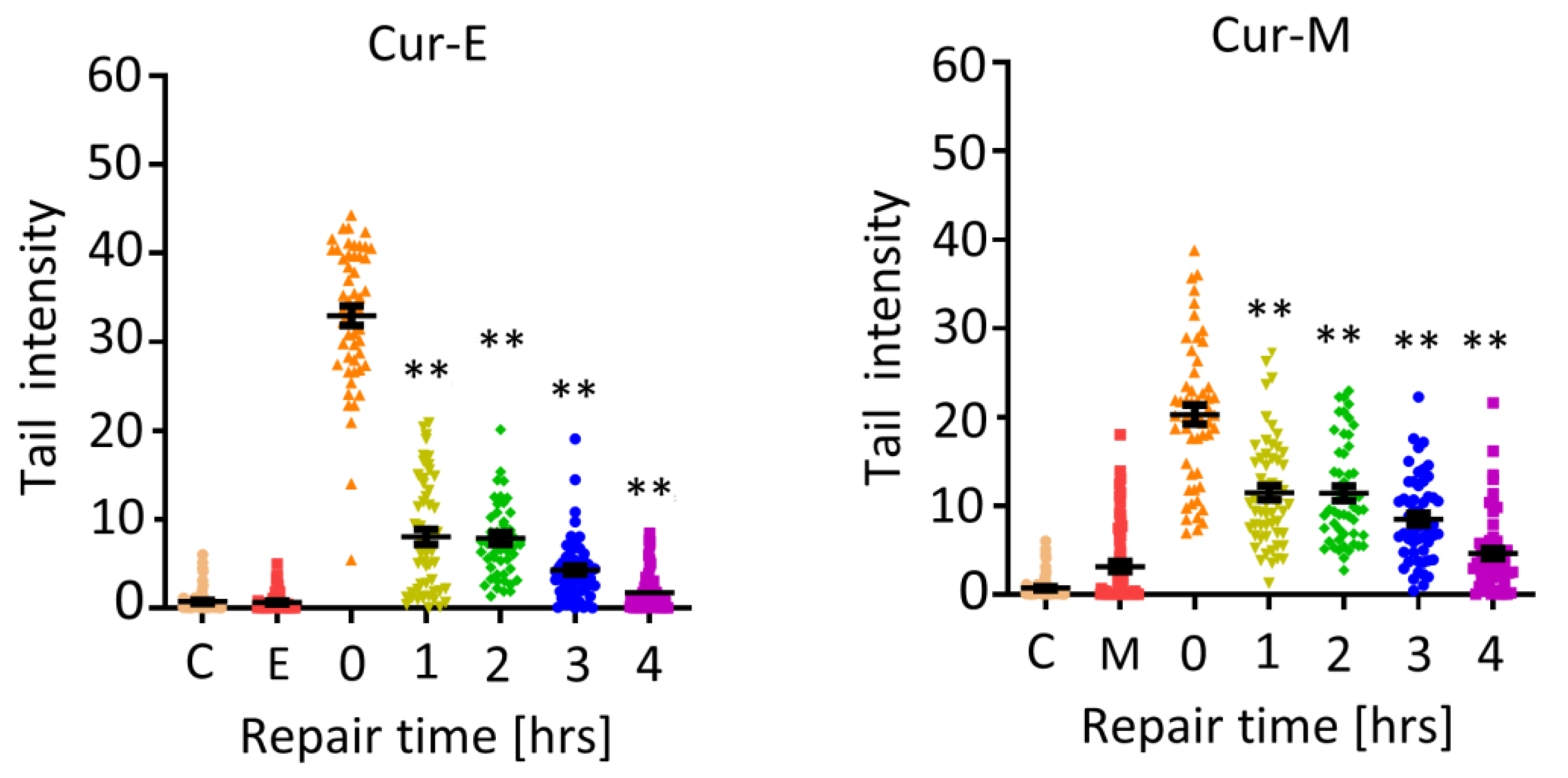 Nutrients 13 02385 g006