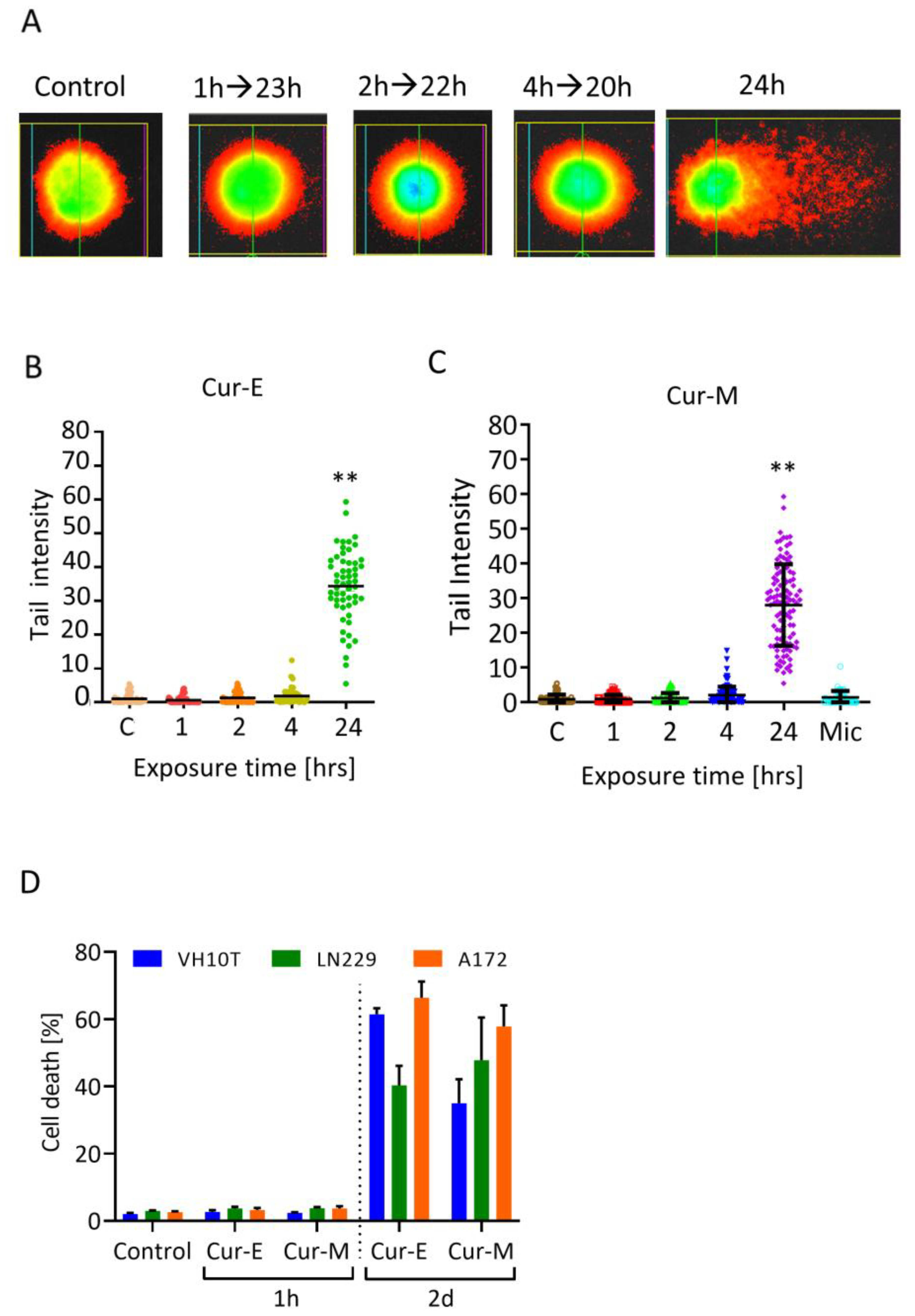 Nutrients 13 02385 g007