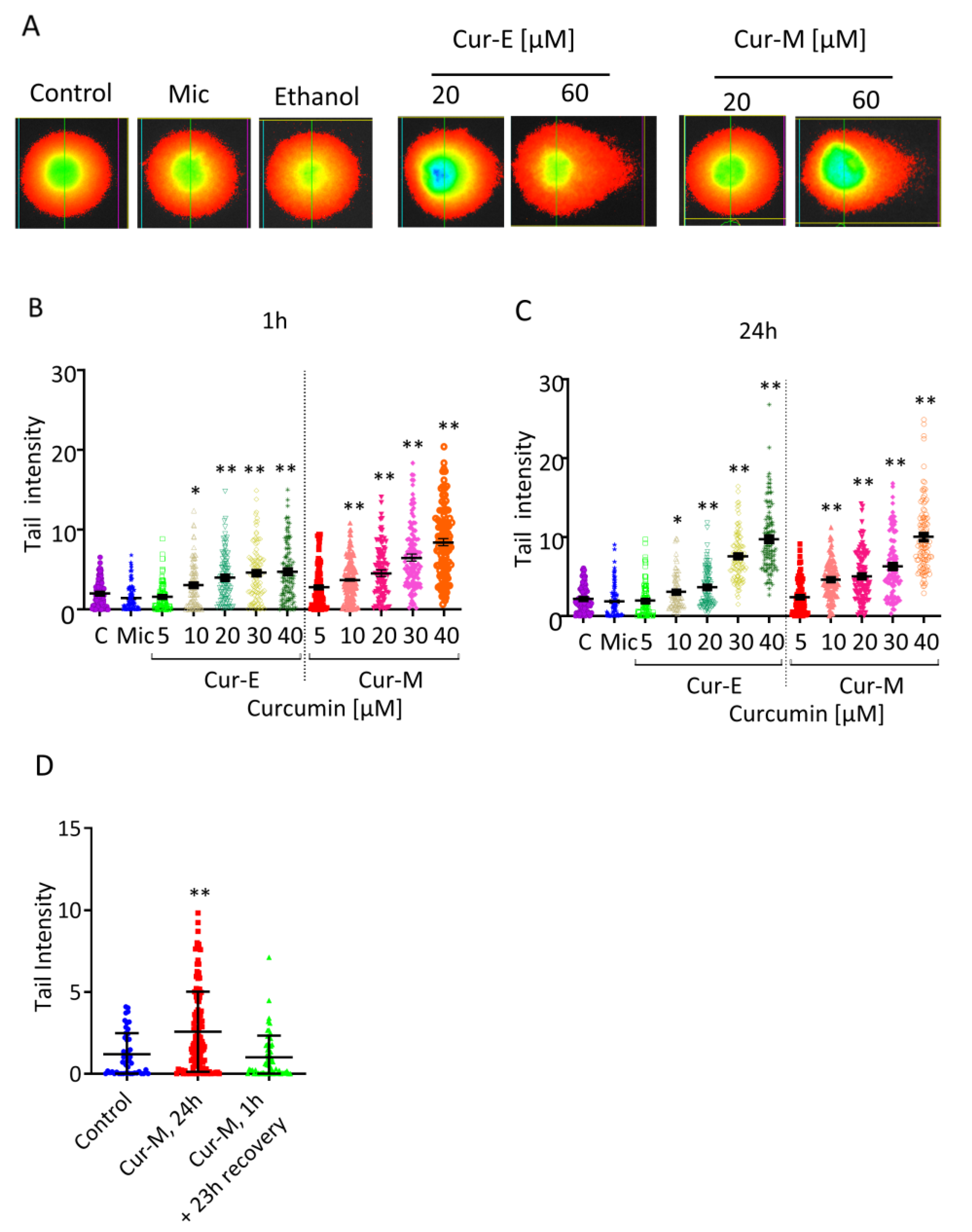 Nutrients 13 02385 g008