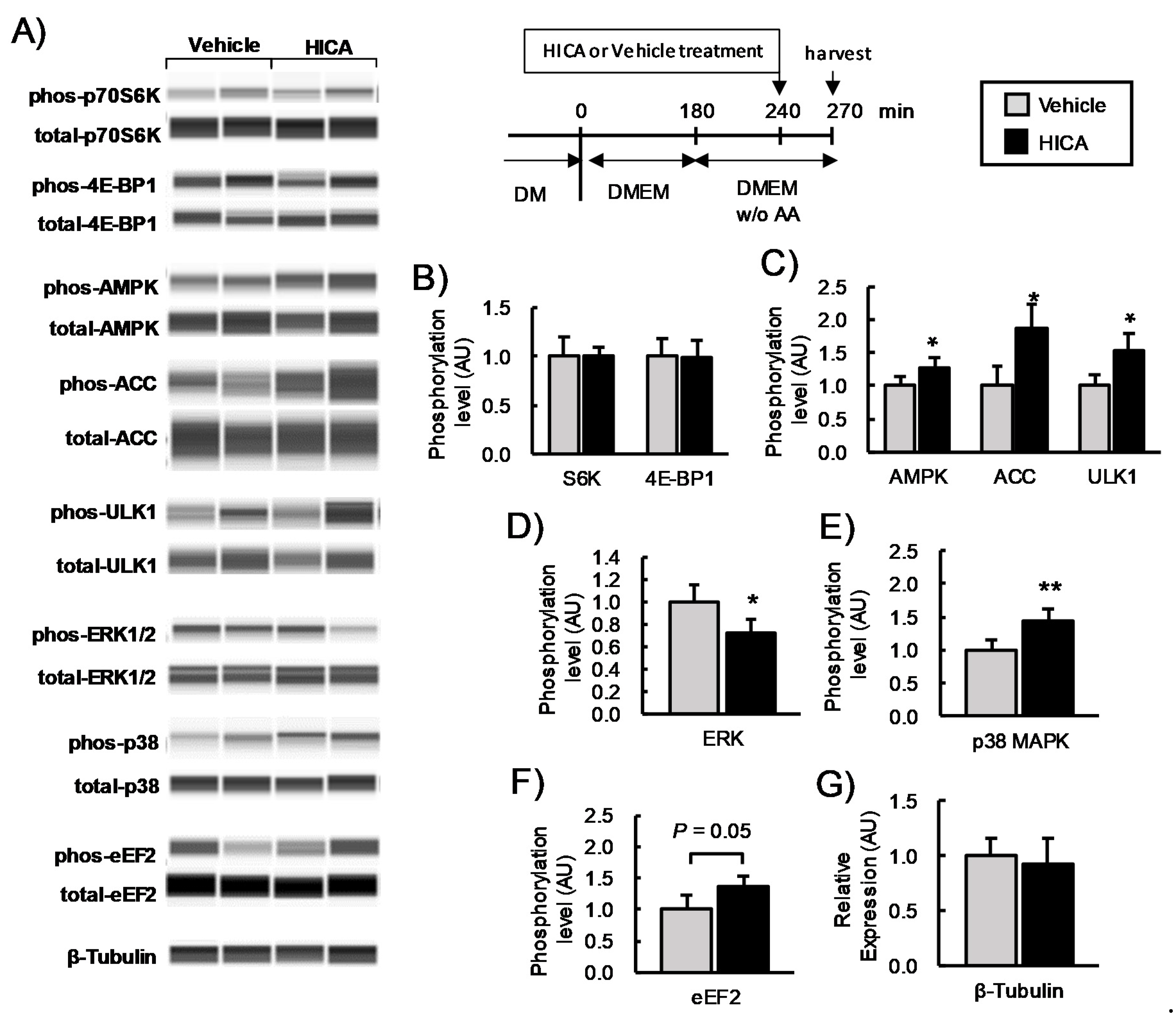 Nutrients 13 02391 g002 Nutrients 13 02391 g002