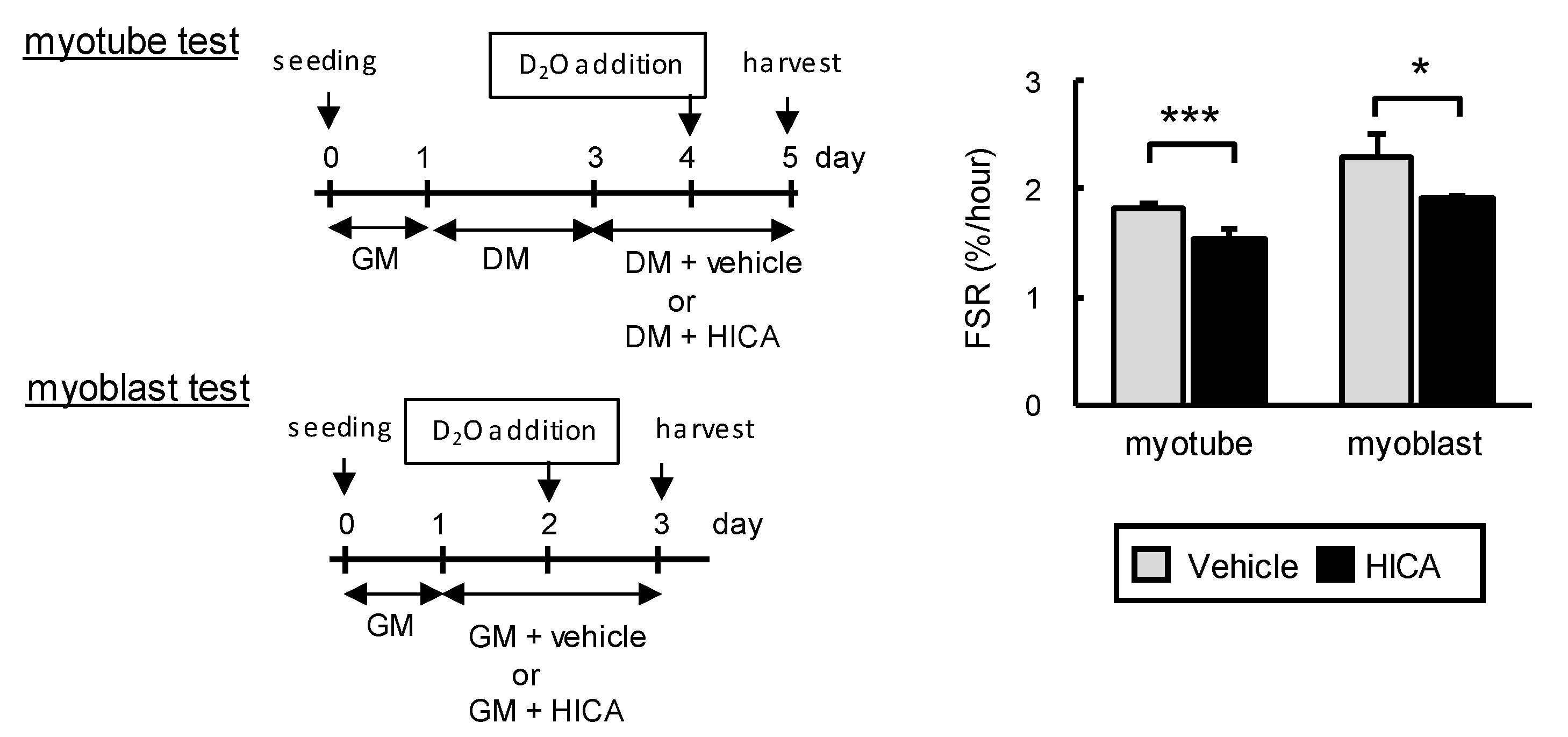 Nutrients 13 02391 g003 Nutrients 13 02391 g003