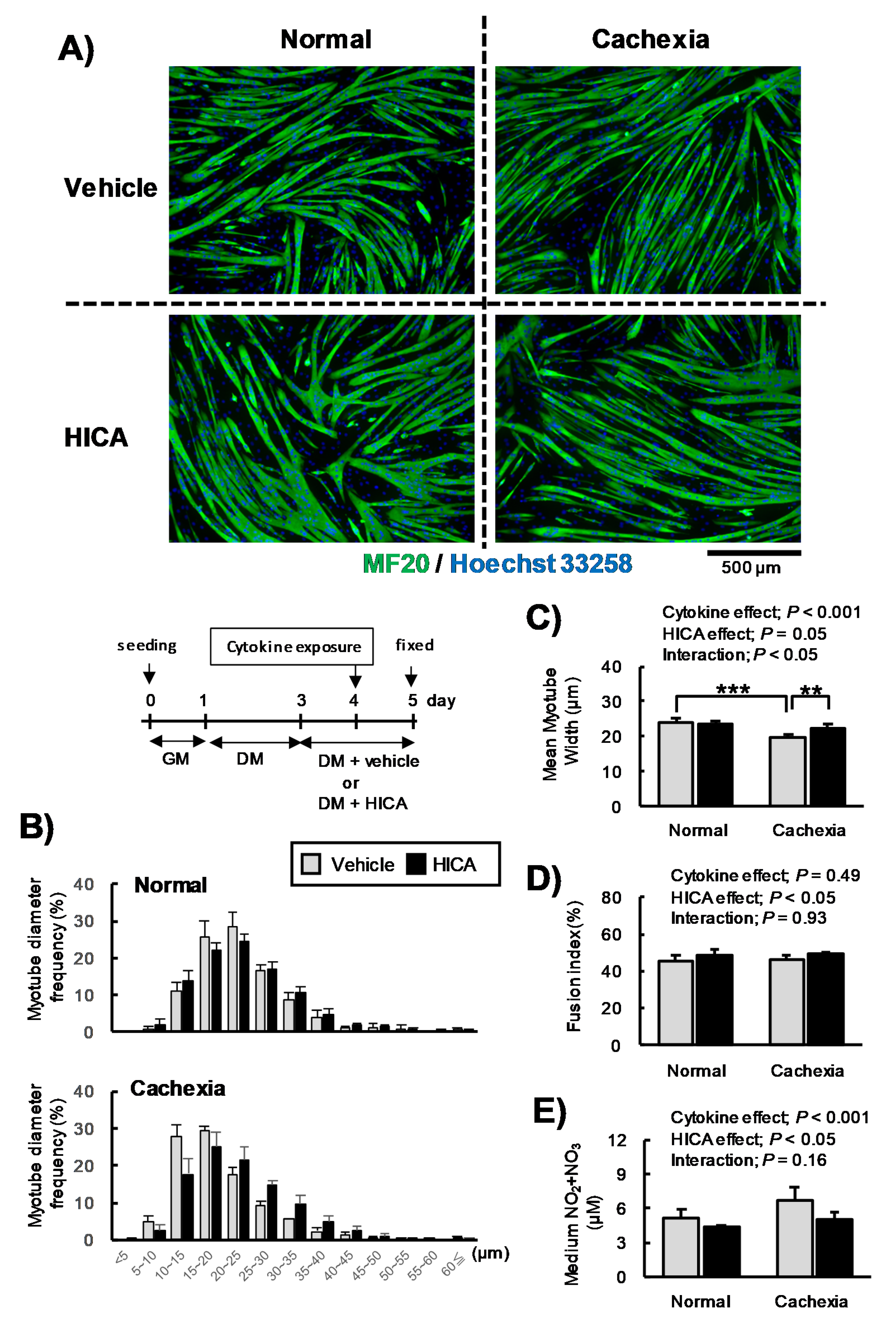 Nutrients 13 02391 g004 Nutrients 13 02391 g004