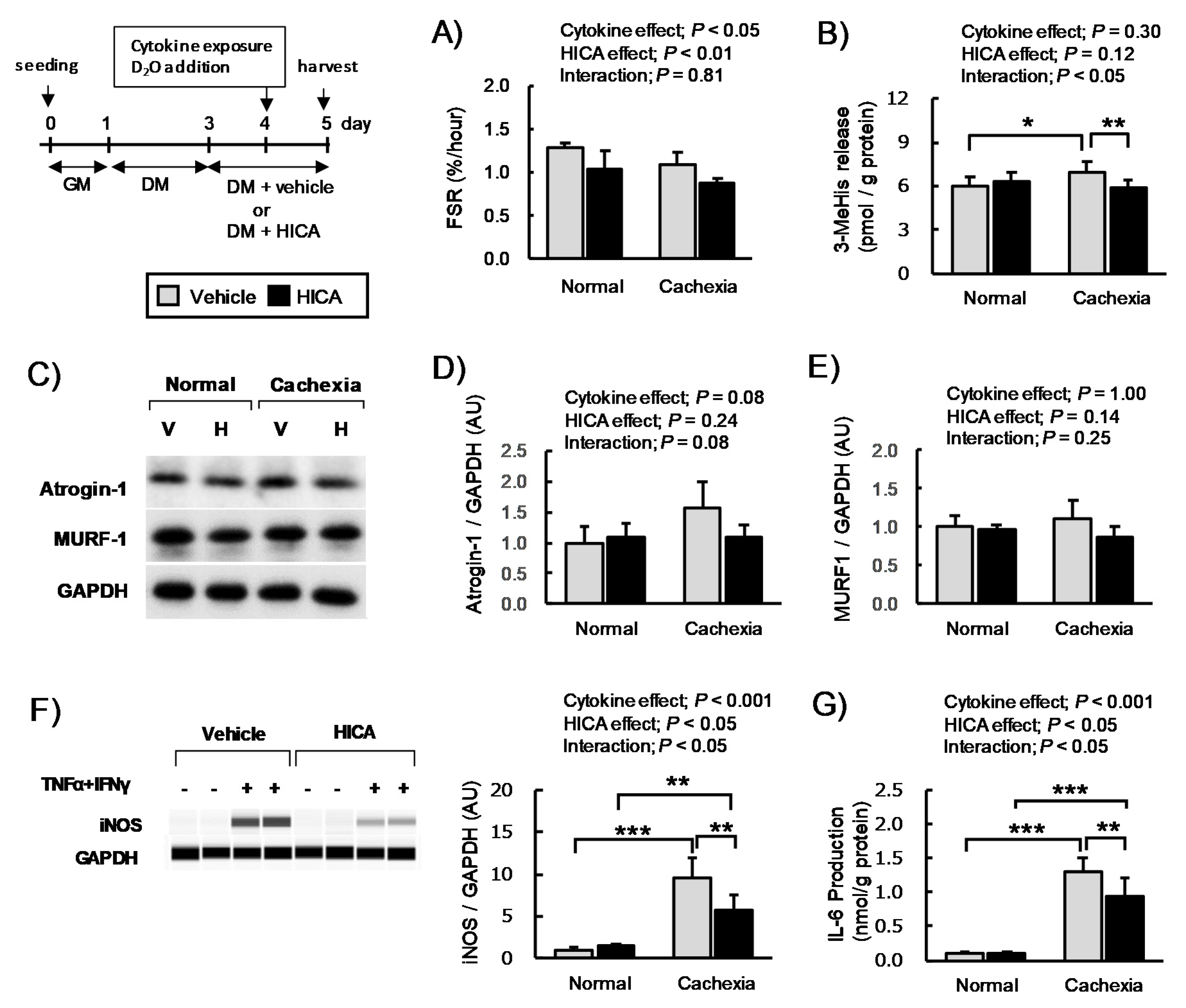 Nutrients 13 02391 g006 Nutrients 13 02391 g006
