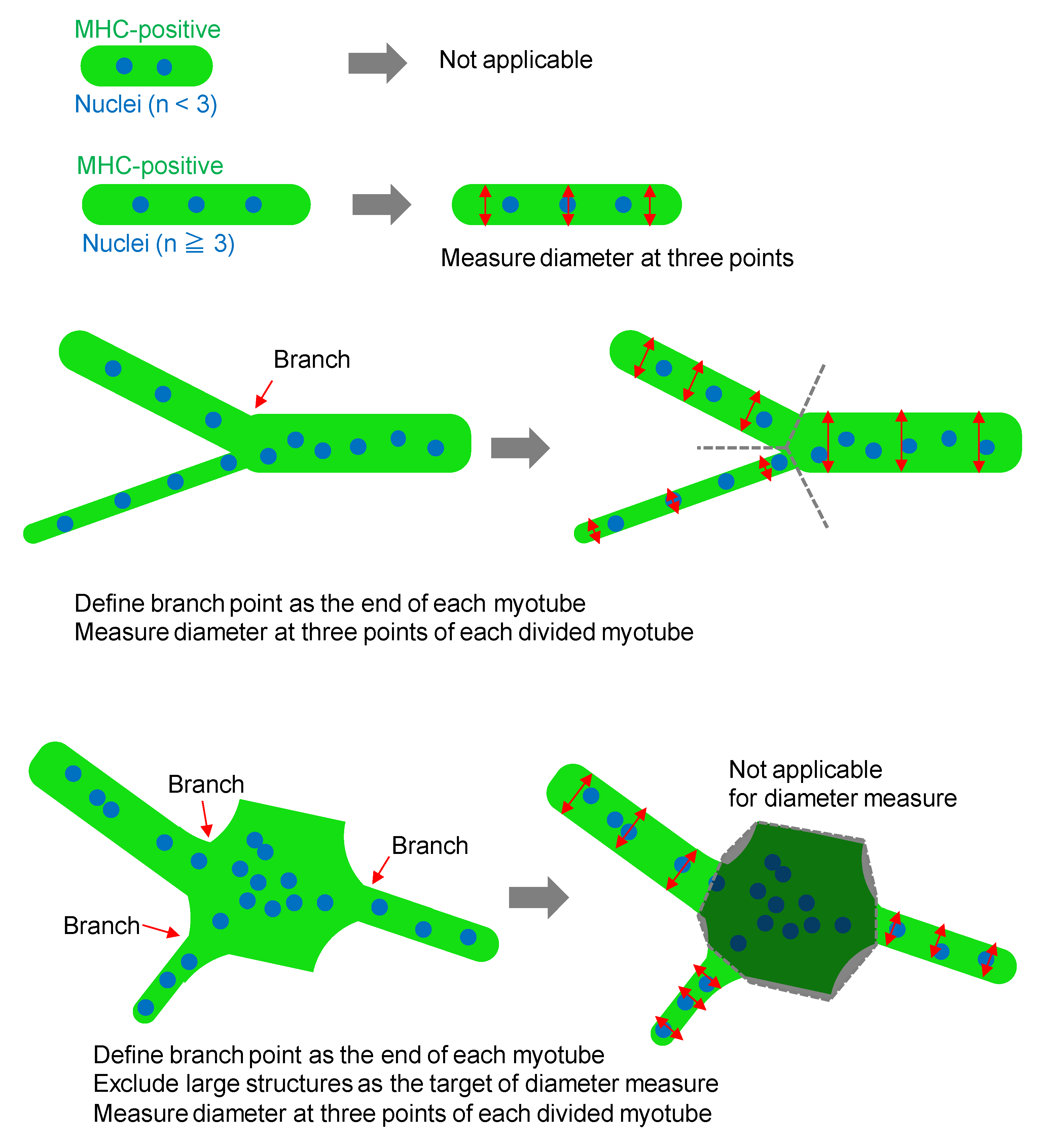 Nutrients 13 02391 g0a1 Nutrients 13 02391 g0a1