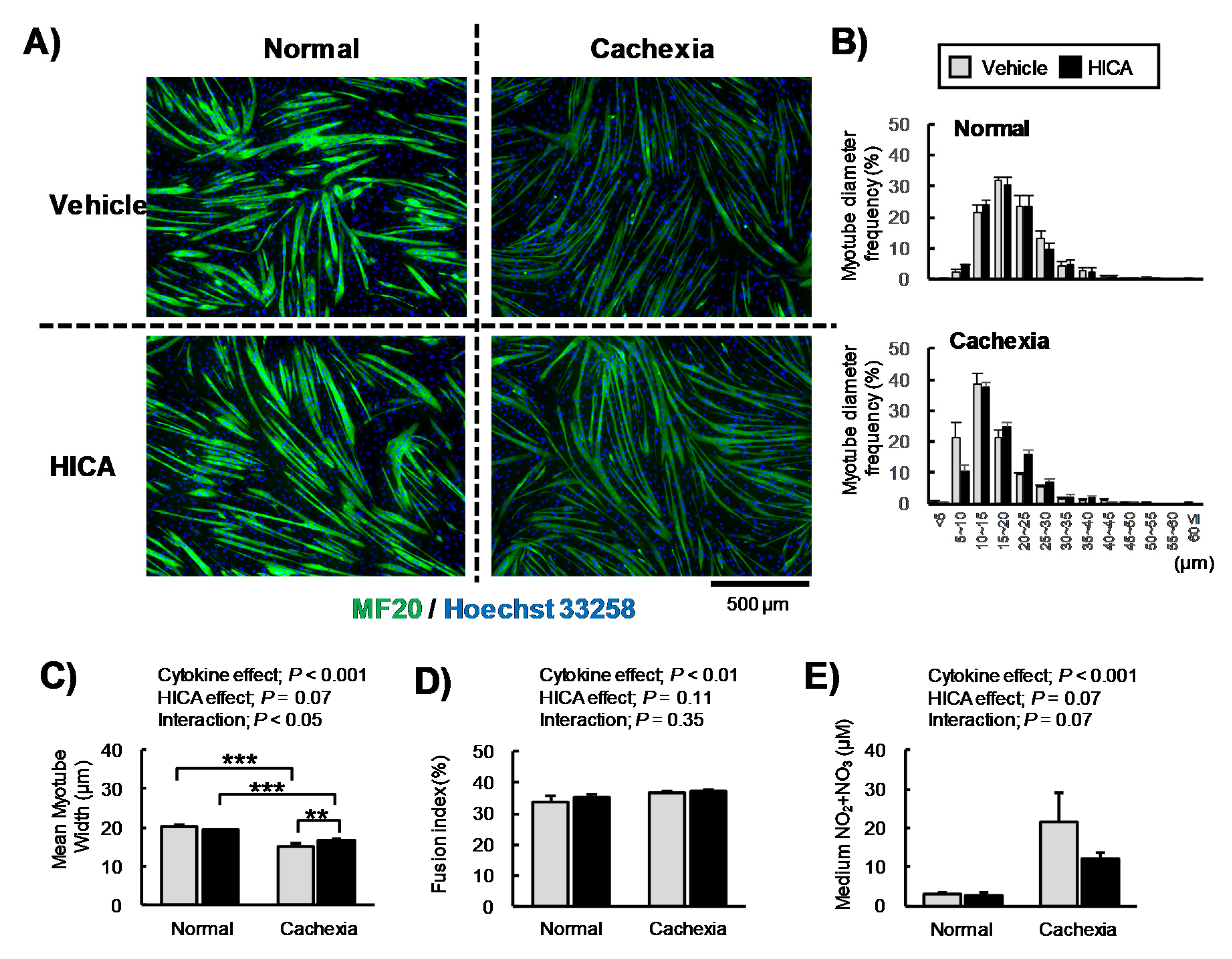 Nutrients 13 02391 g0a2 Nutrients 13 02391 g0a2