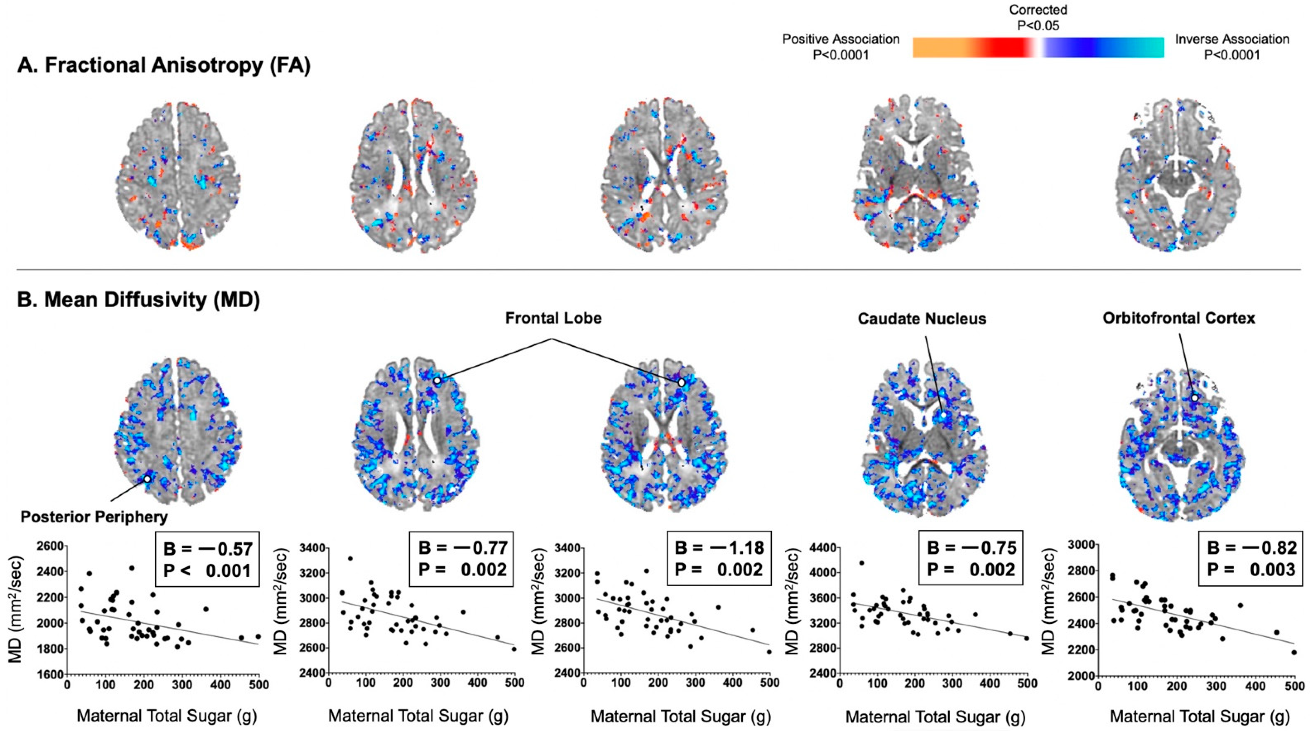 Nutrients 13 02435 g001