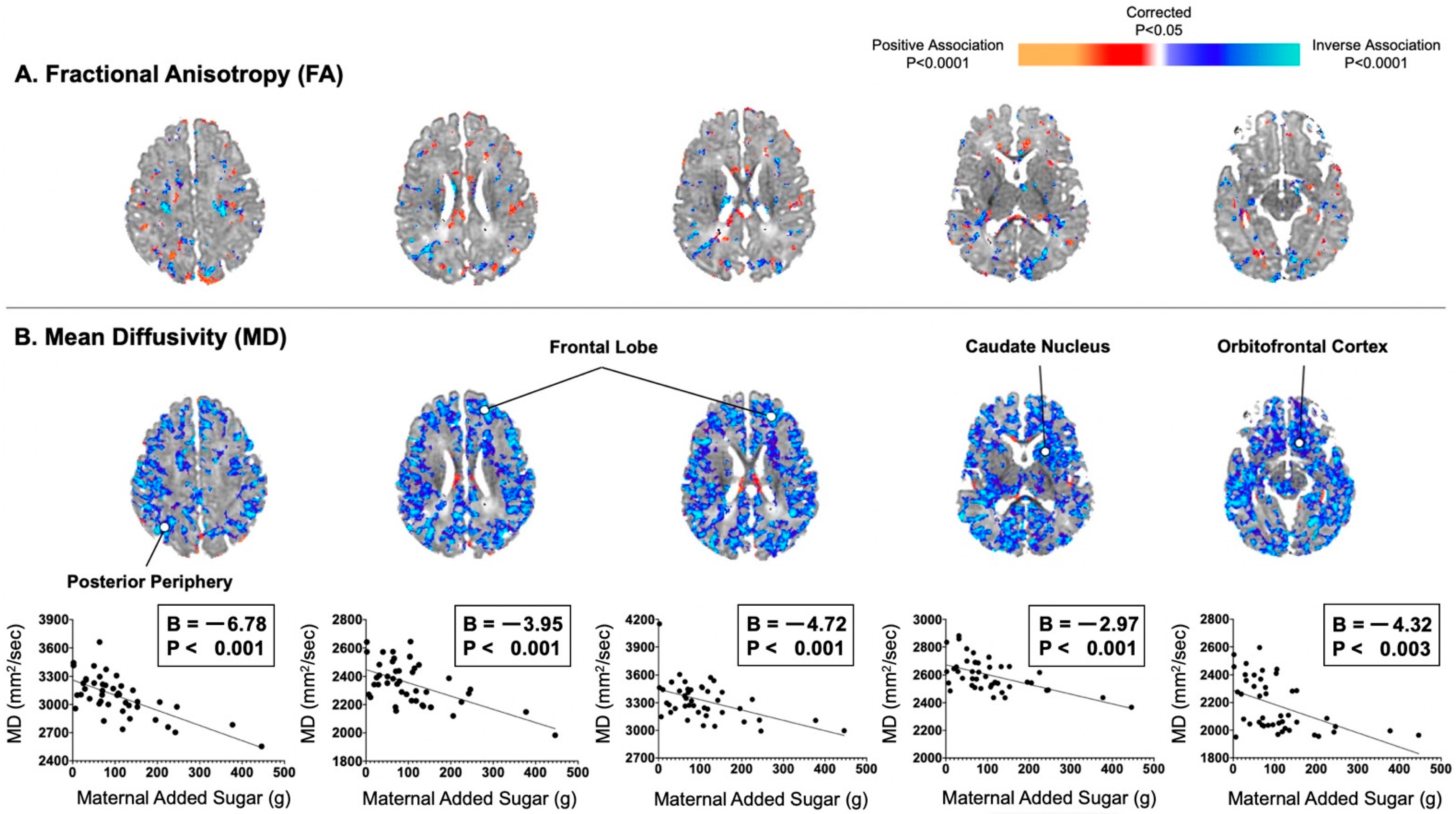 Nutrients 13 02435 g002