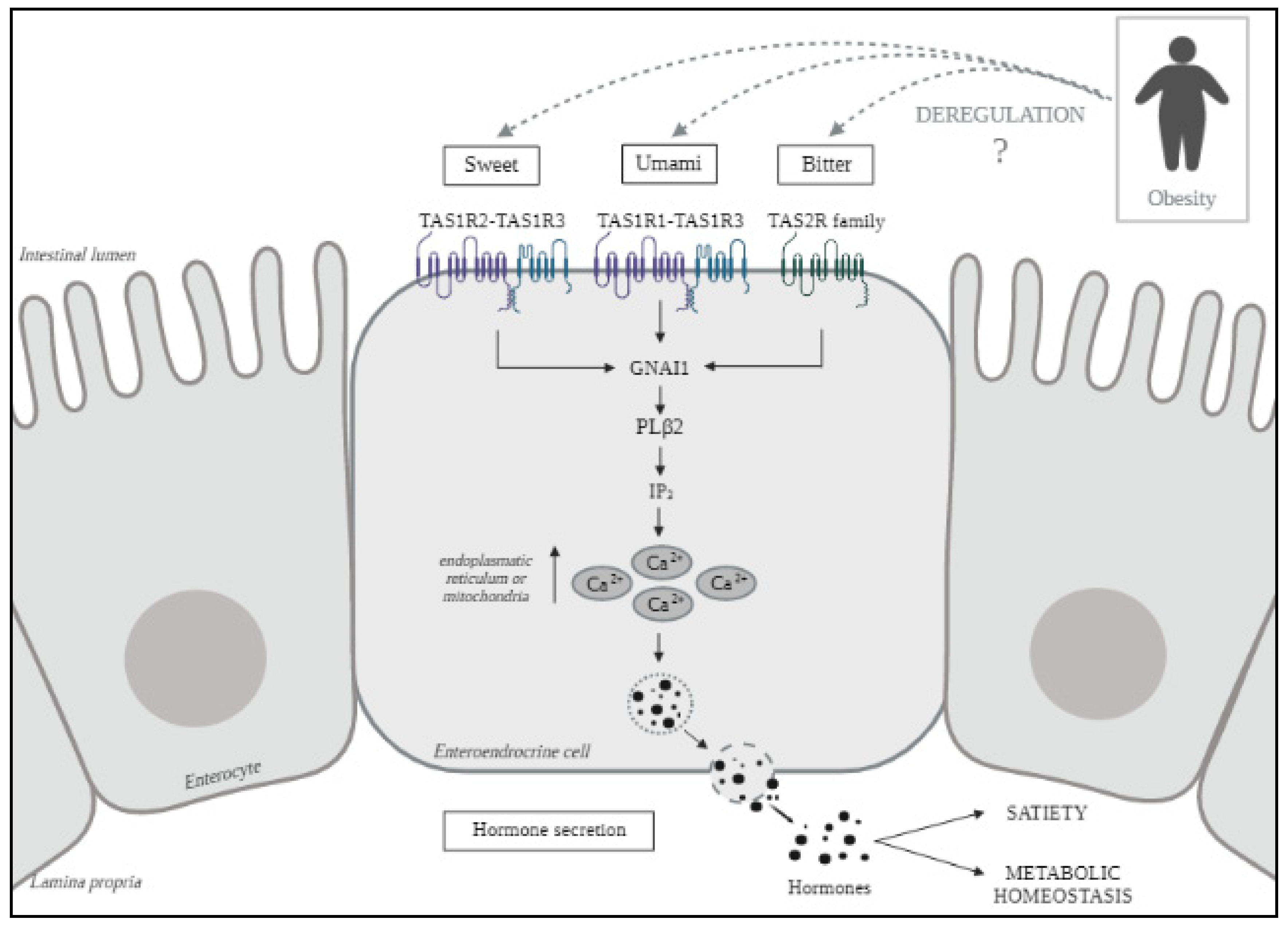 Nutrients 13 02437 g001