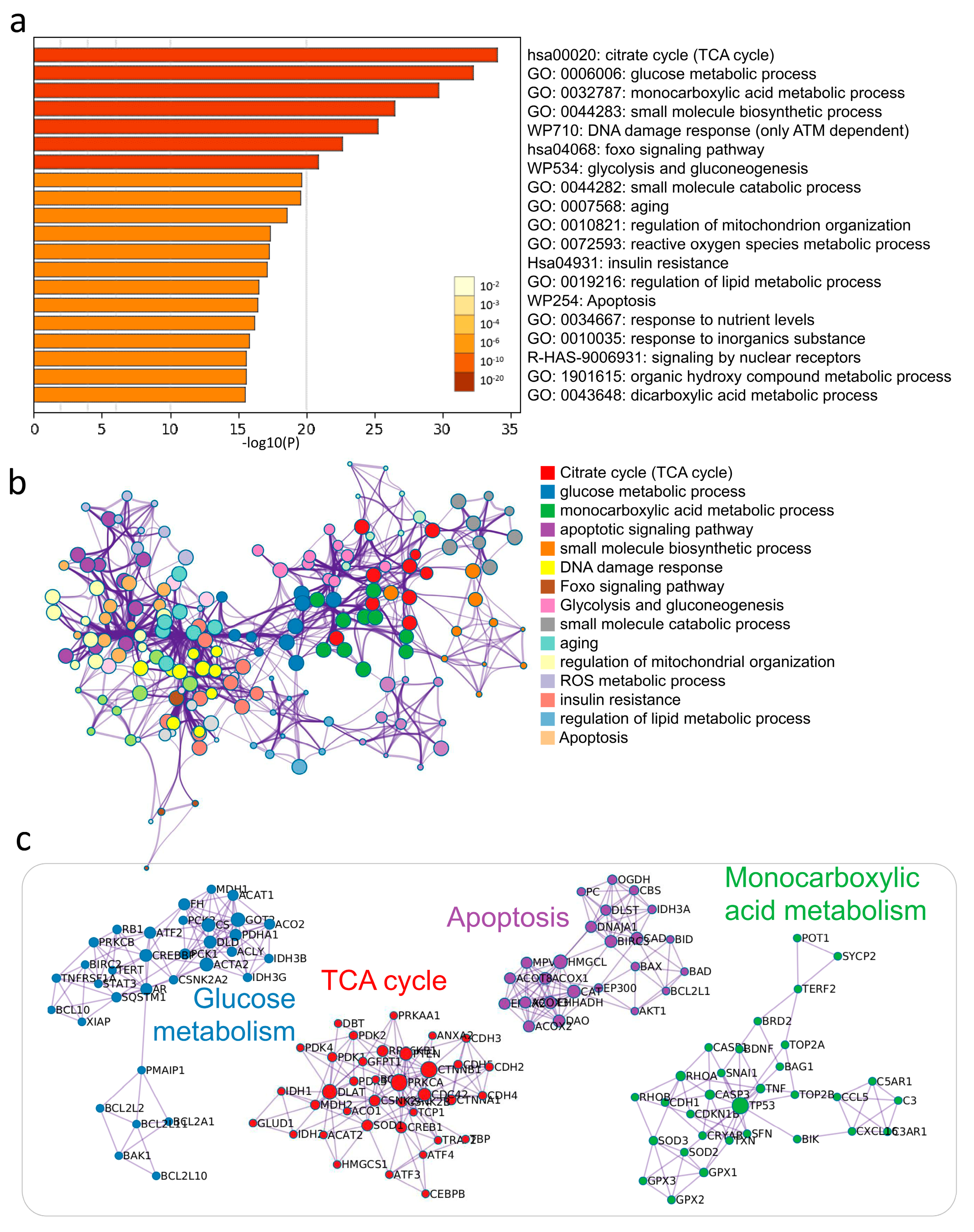Nutrients 13 02449 g002