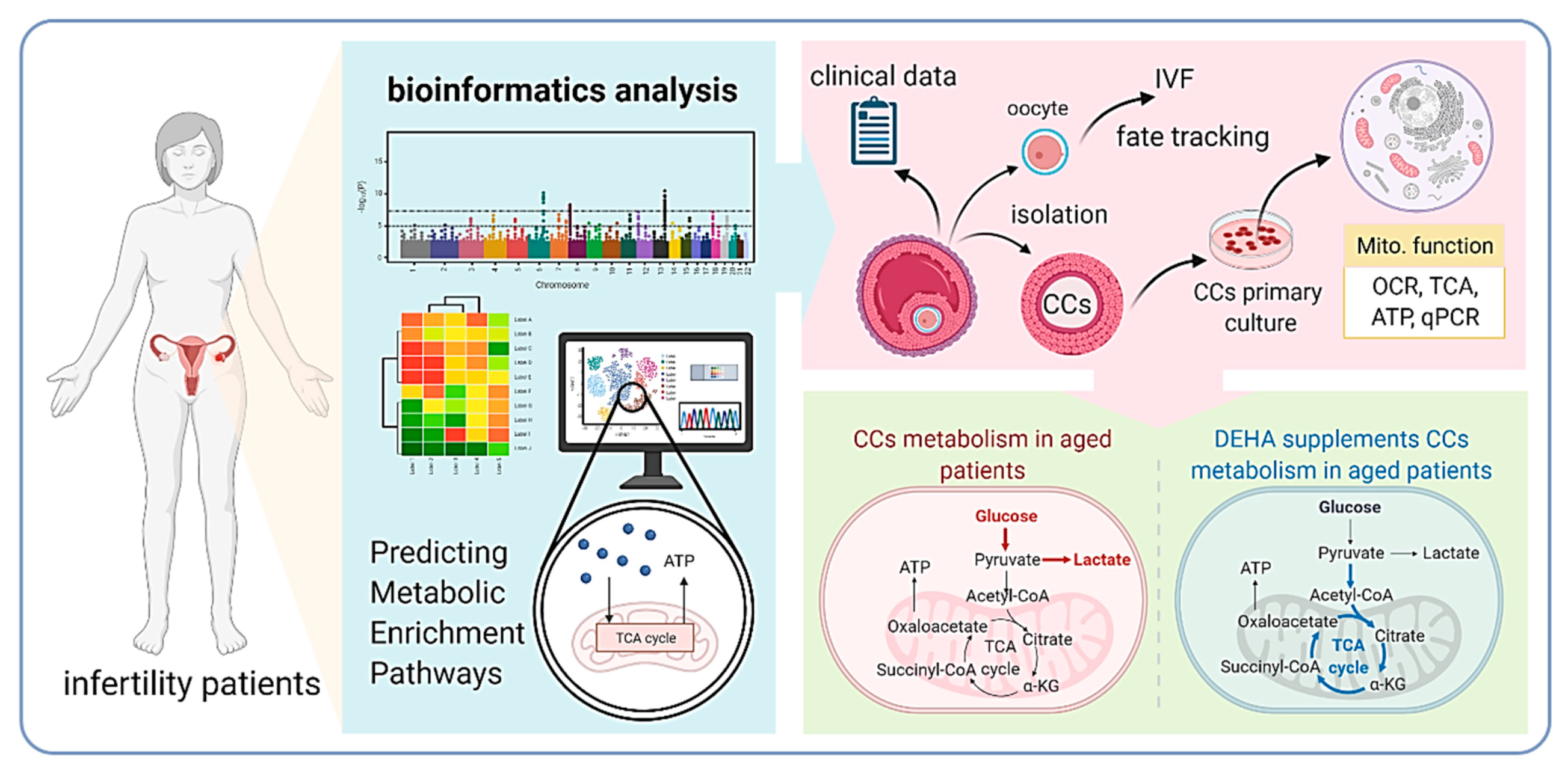 Nutrients 13 02449 g005