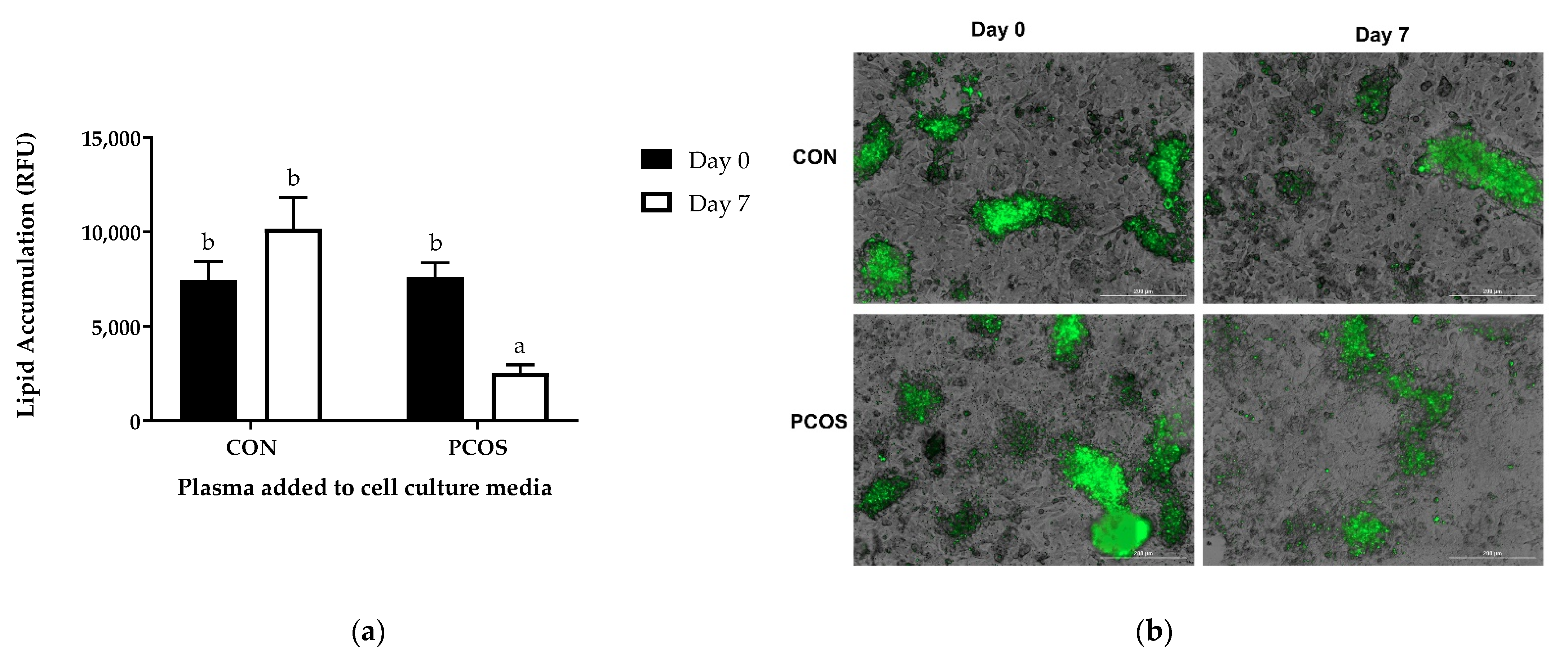 Nutrients 13 02451 g011