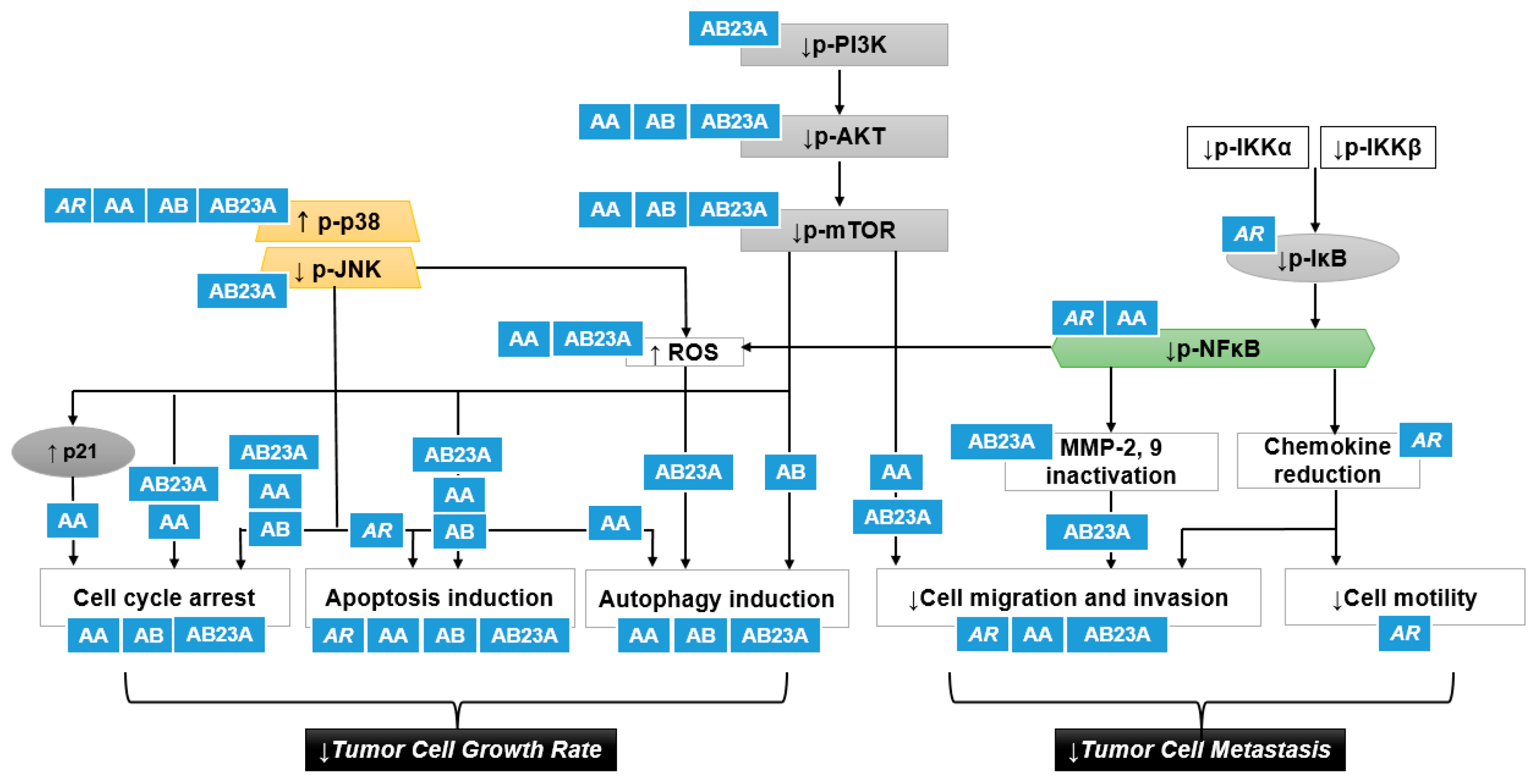 Nutrients 13 02455 g004