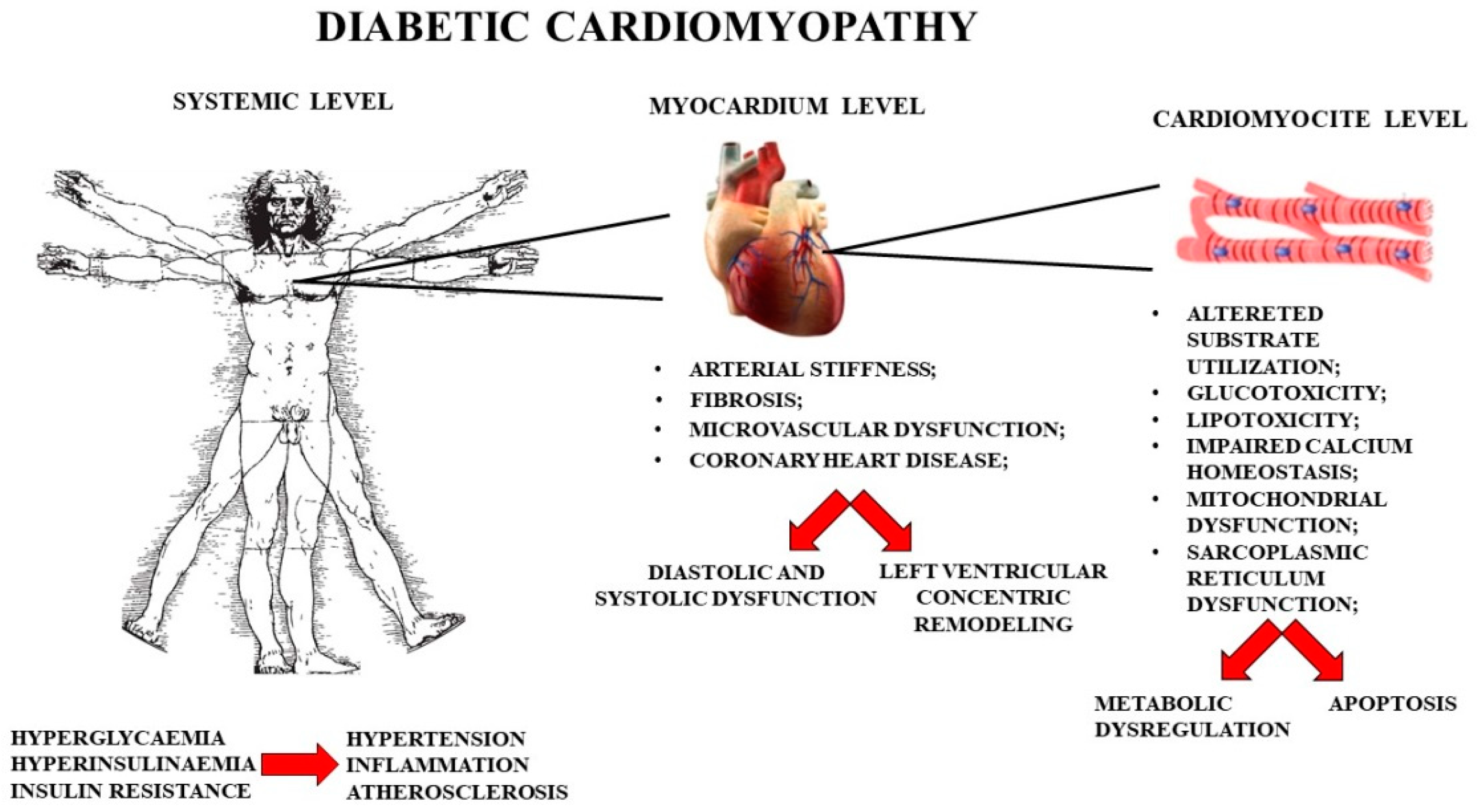 Nutrients 13 02476 g001