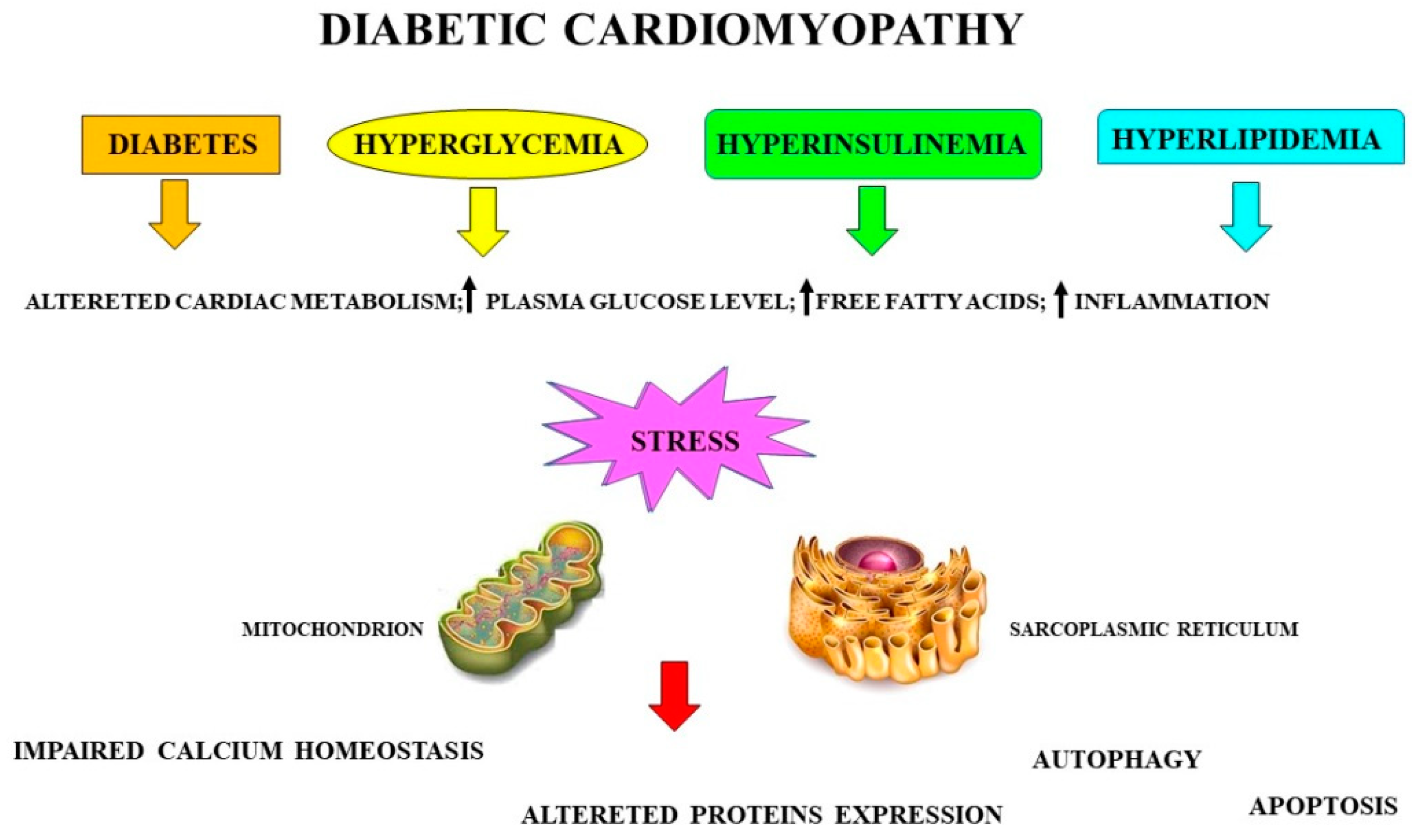 Nutrients 13 02476 g002