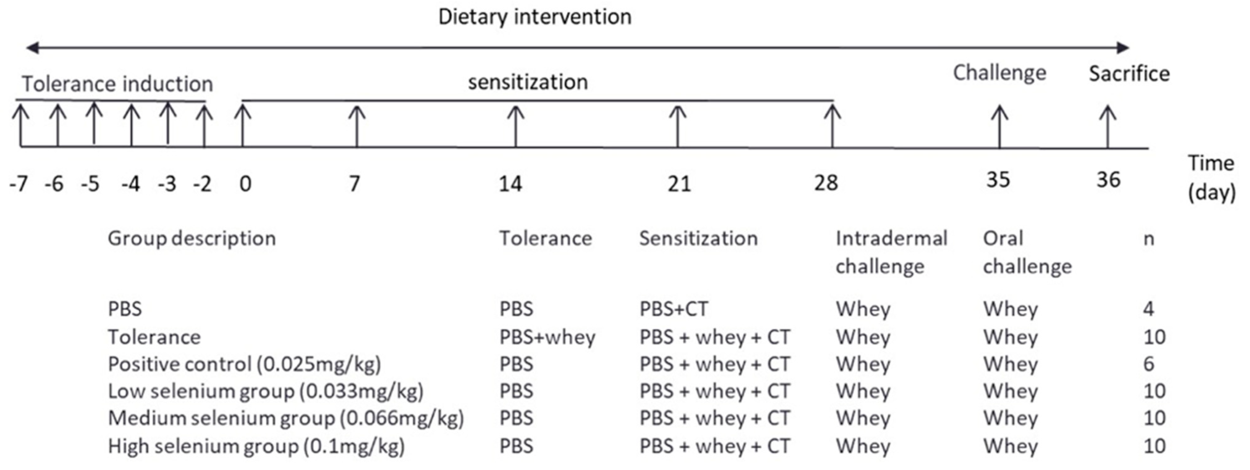 Nutrients 13 02479 g001