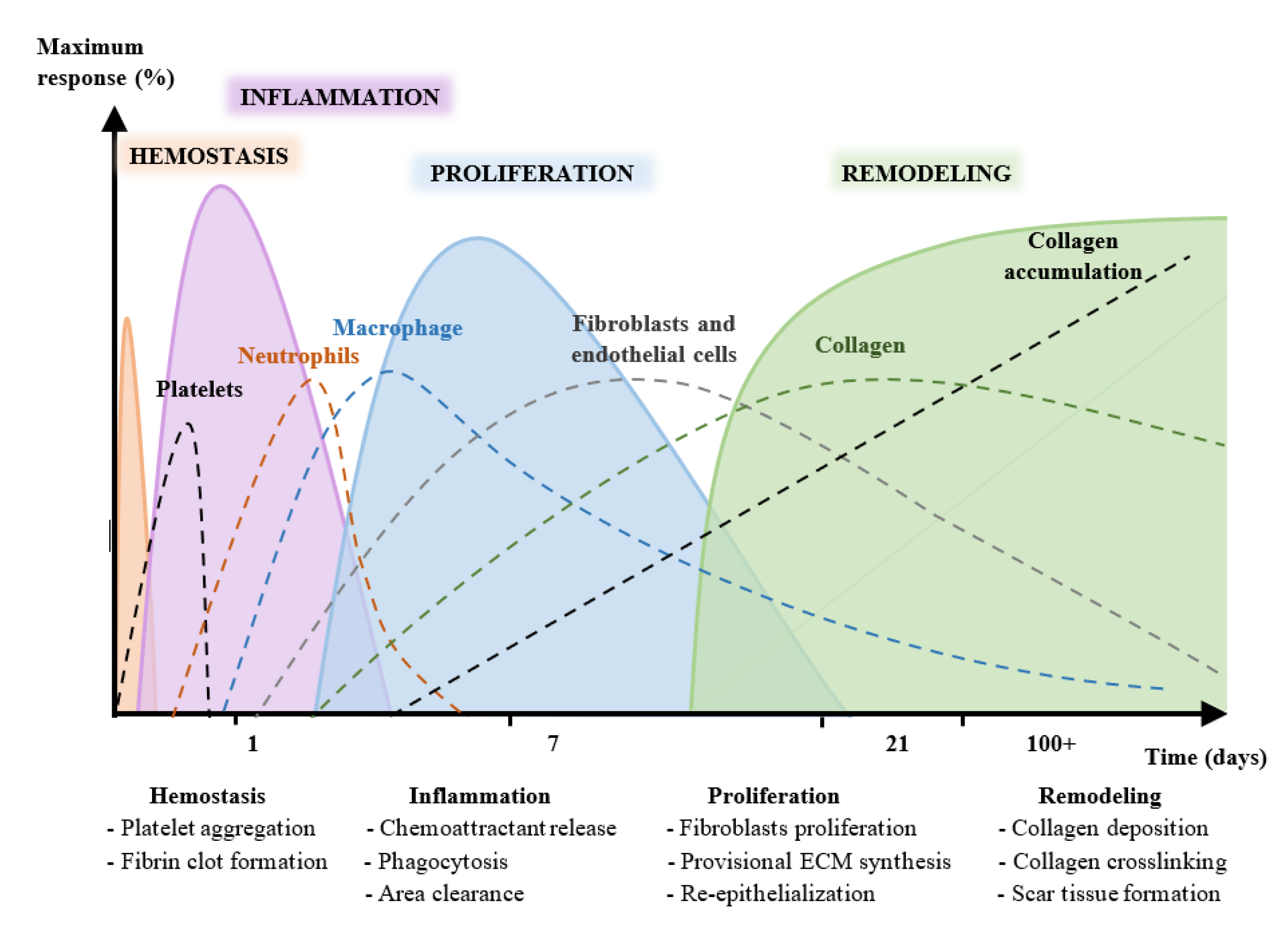 Nutrients 13 02498 g001