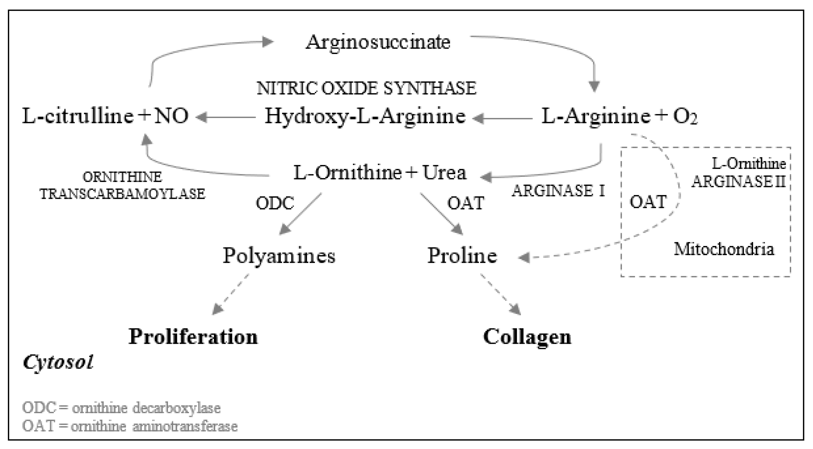 Nutrients 13 02498 g002