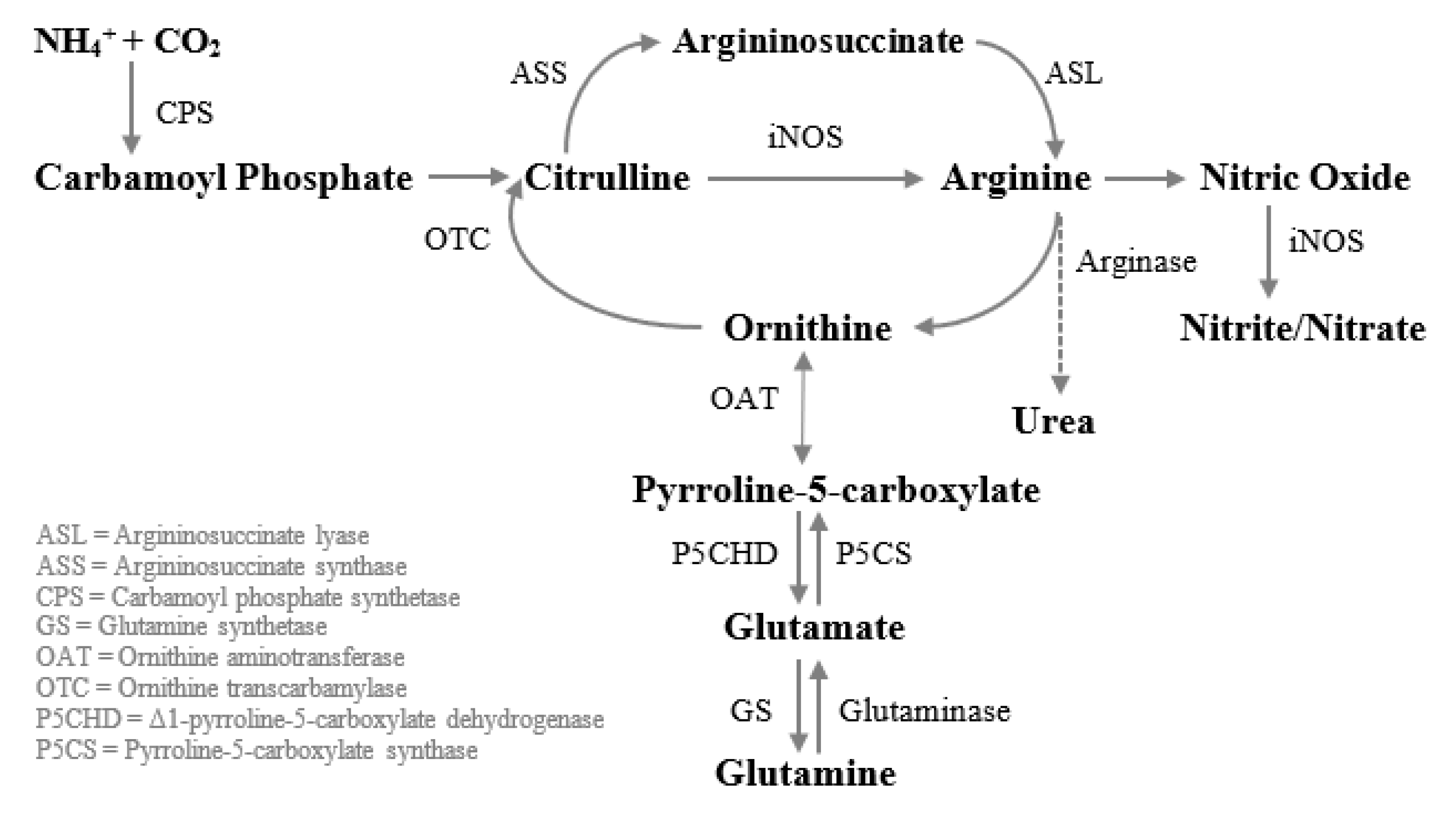 Nutrients 13 02498 g003