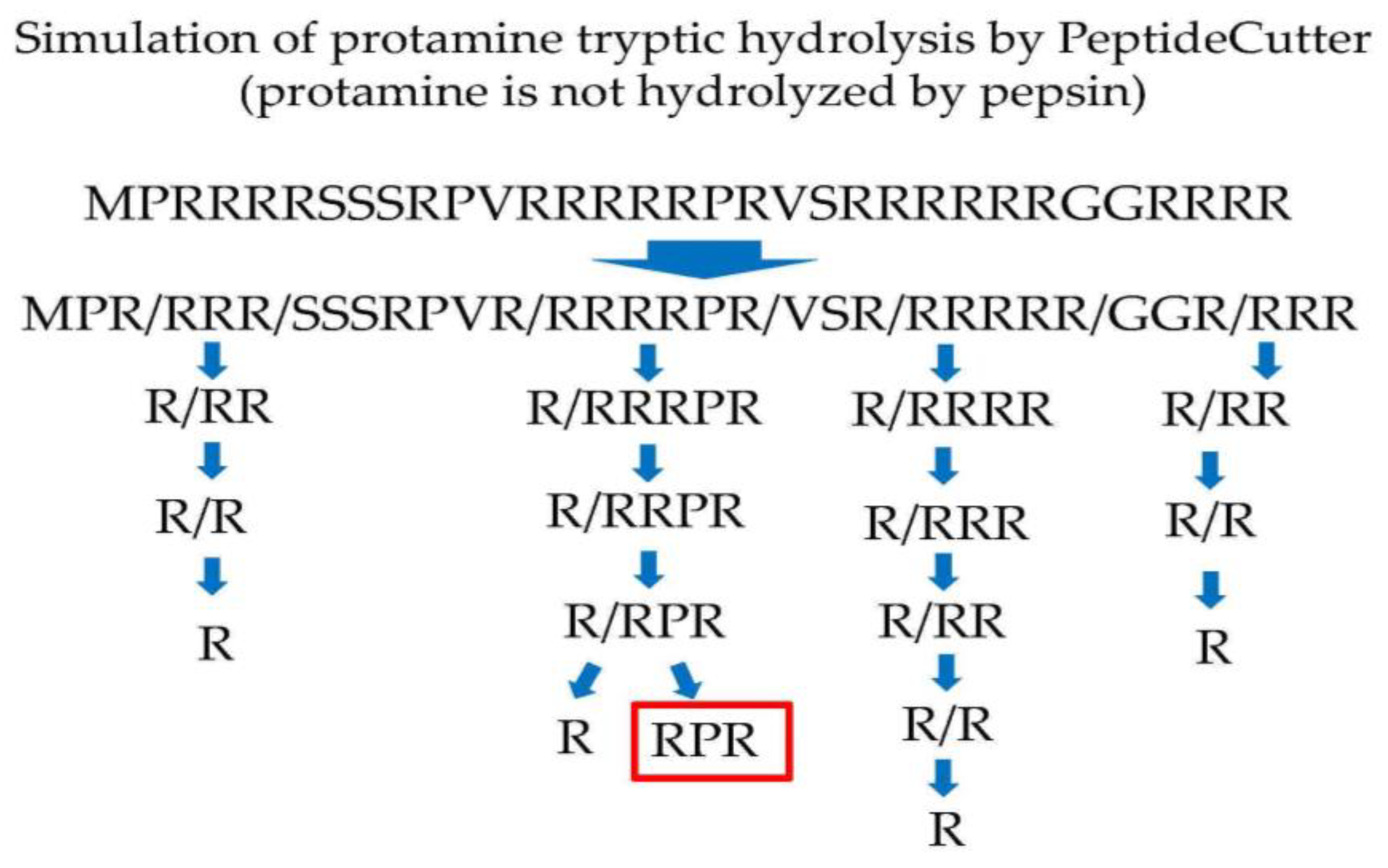 Nutrients 13 02501 g001