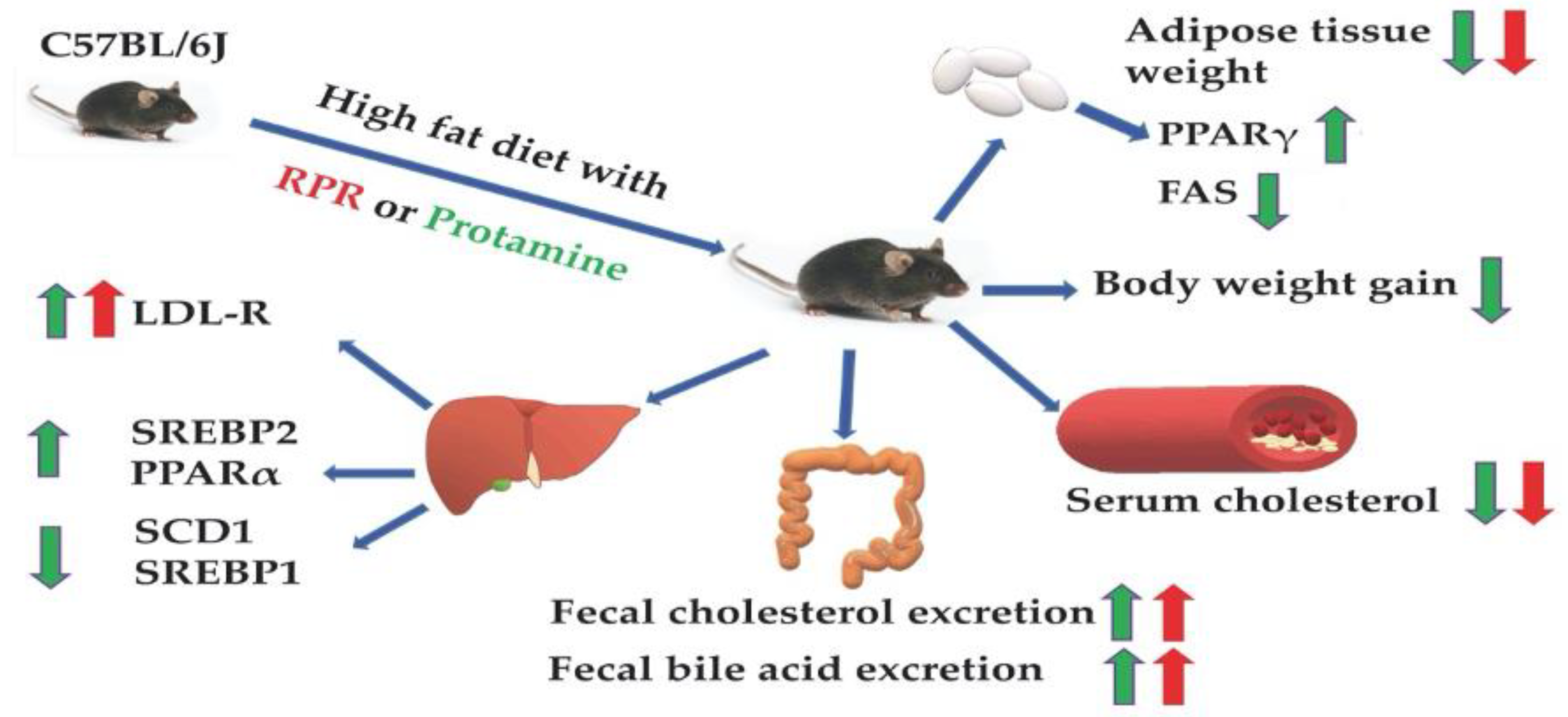 Nutrients 13 02501 g008