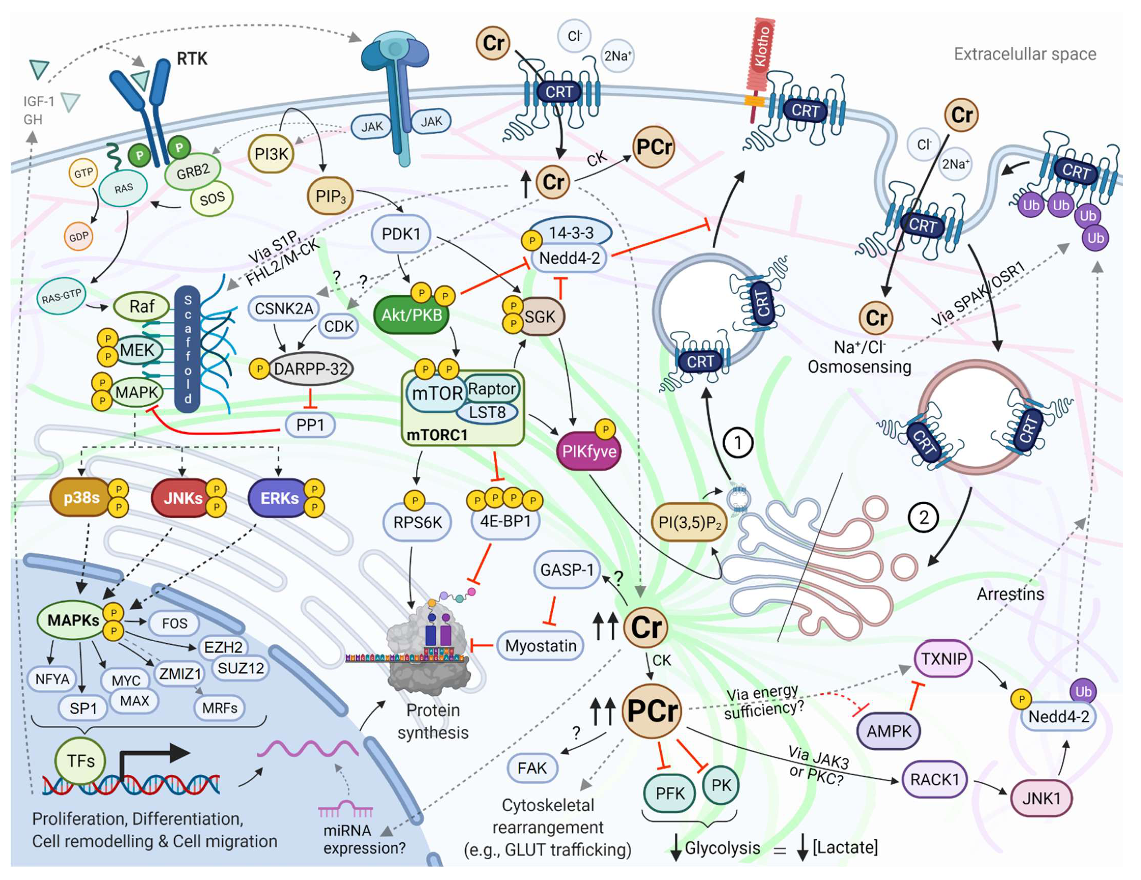 Nutrients 13 02521 g004