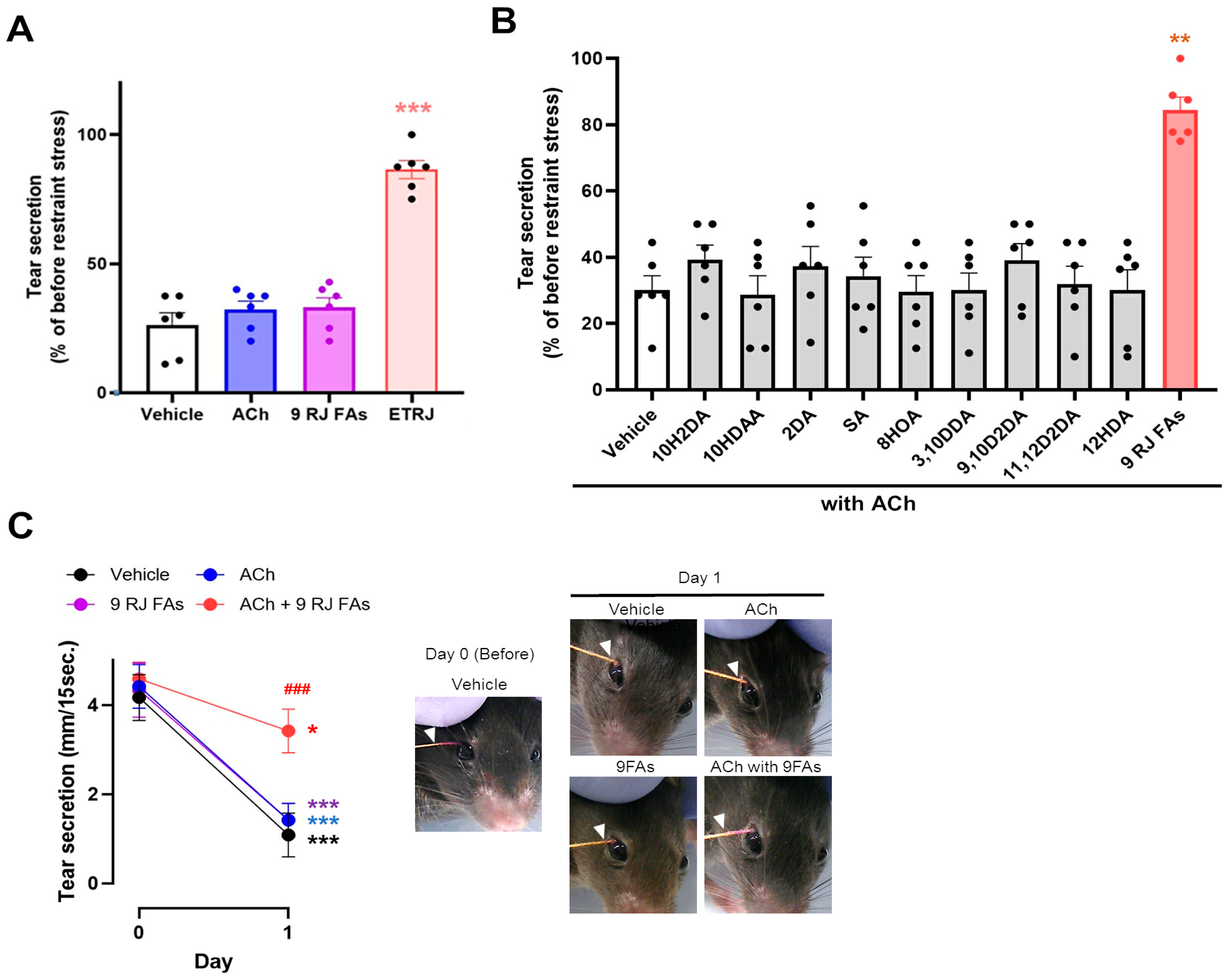 Nutrients 13 02536 g001 Nutrients 13 02536 g001