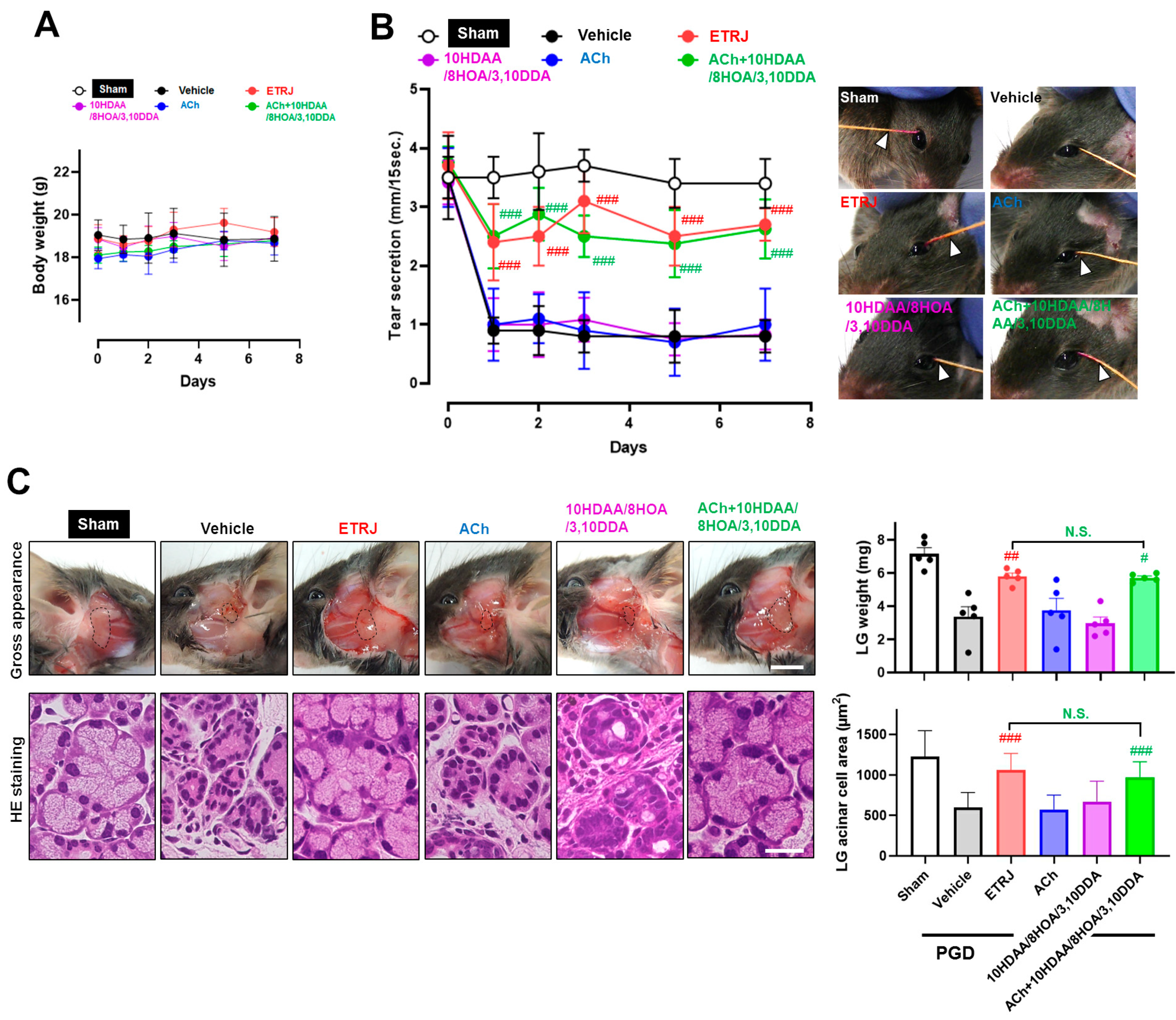 Nutrients 13 02536 g003 Nutrients 13 02536 g003