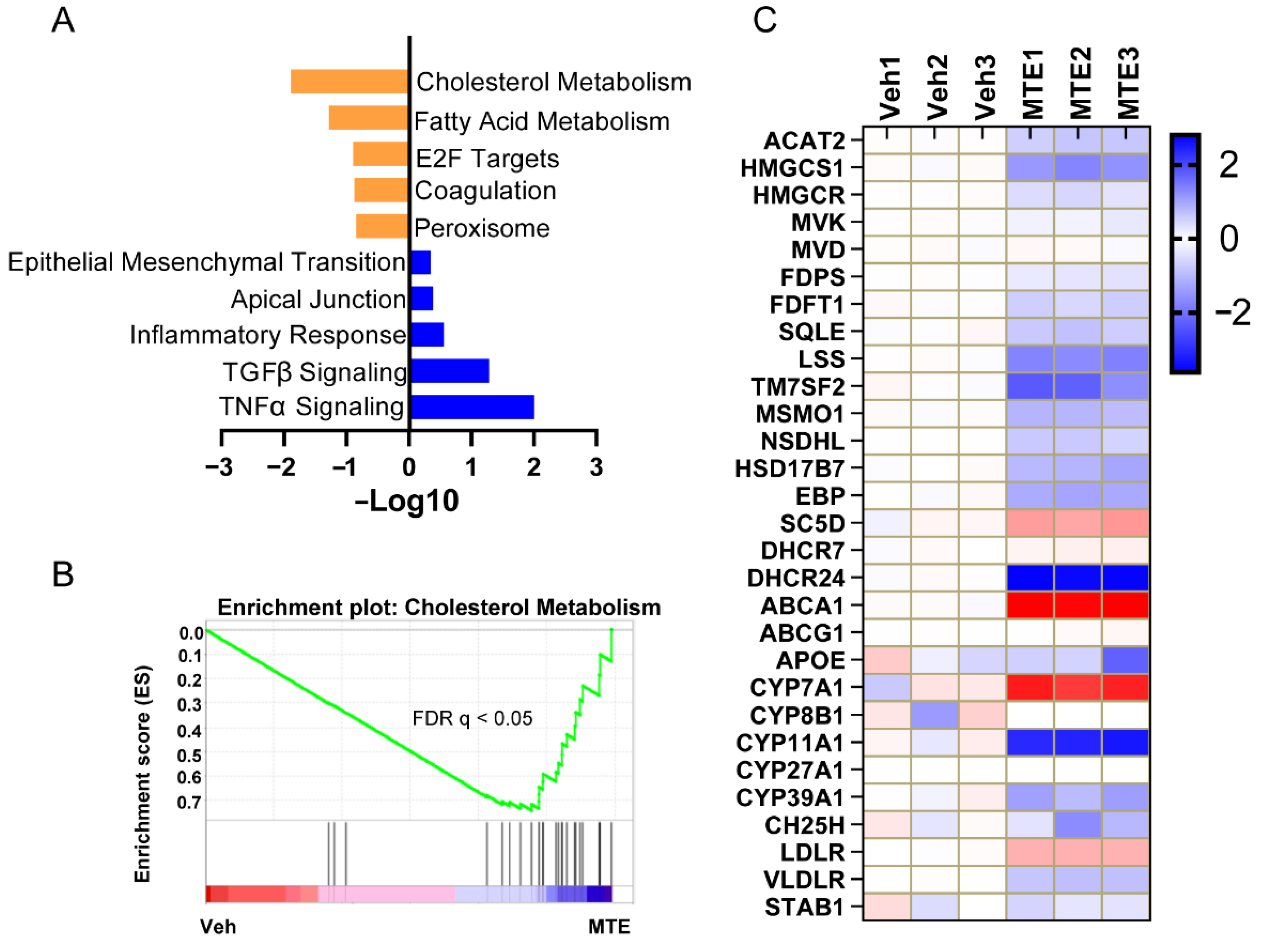 Nutrients 13 02539 g002