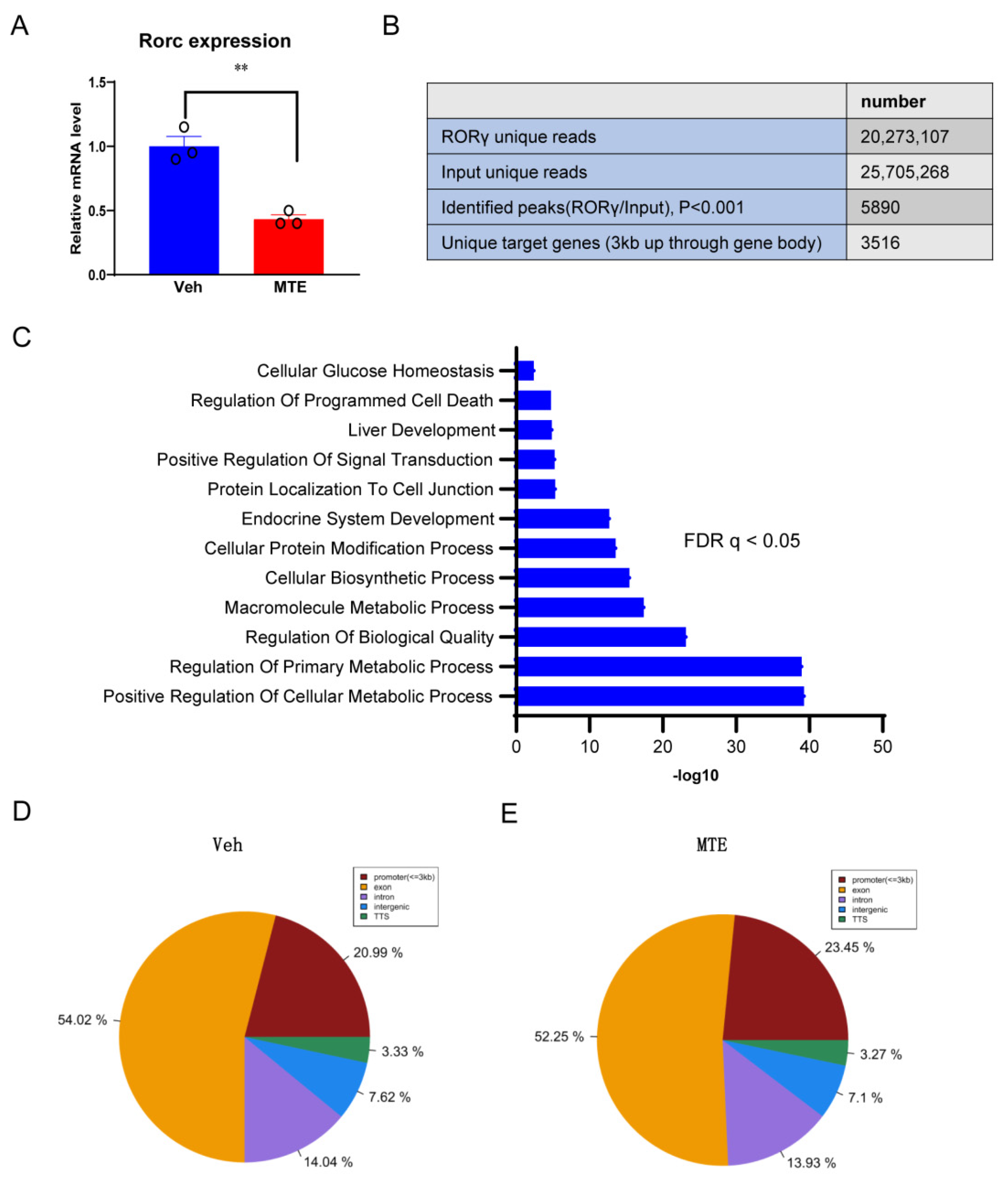 Nutrients 13 02539 g004
