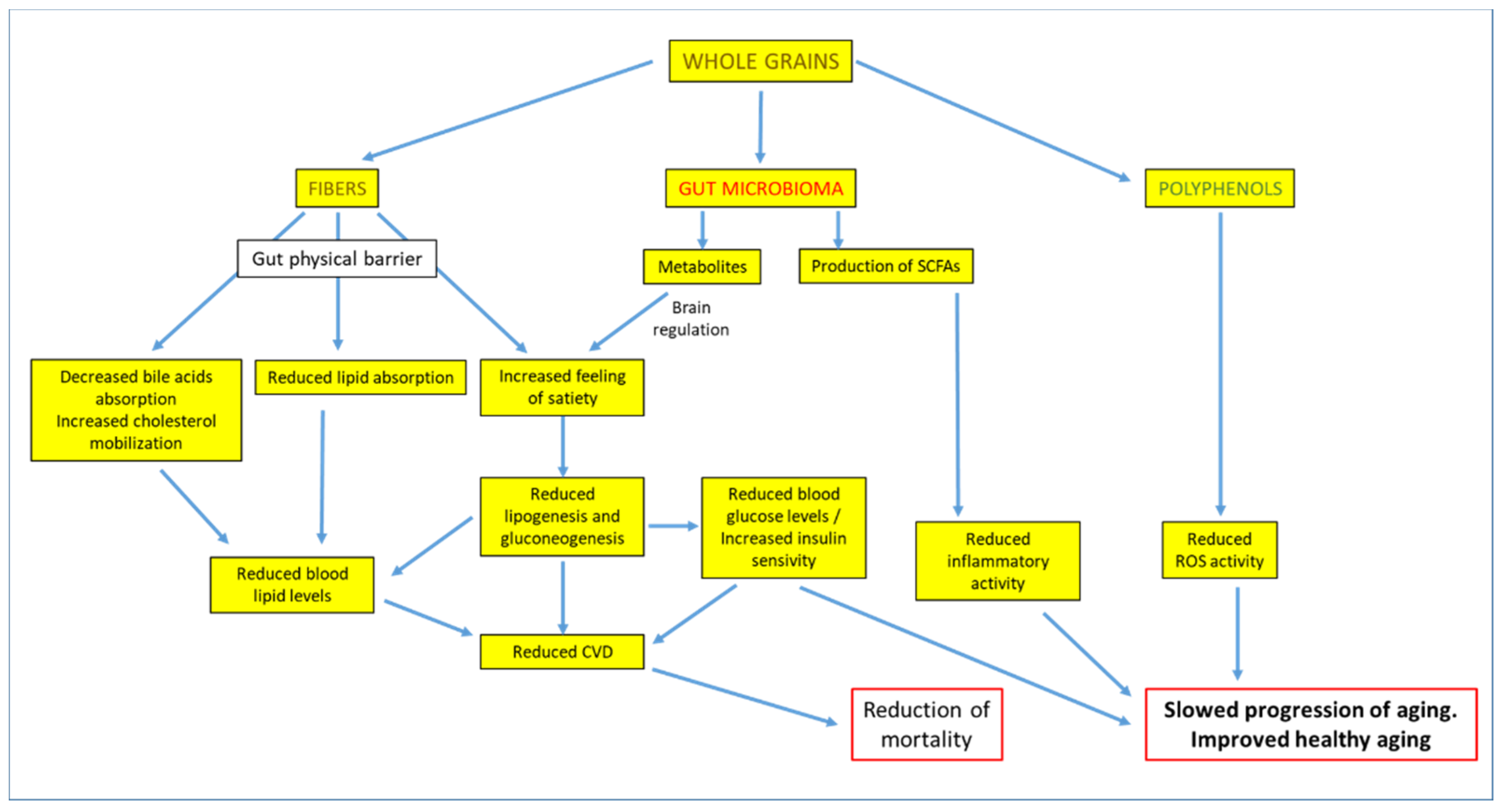 Nutrients 13 02540 g005 Nutrients 13 02540 g005