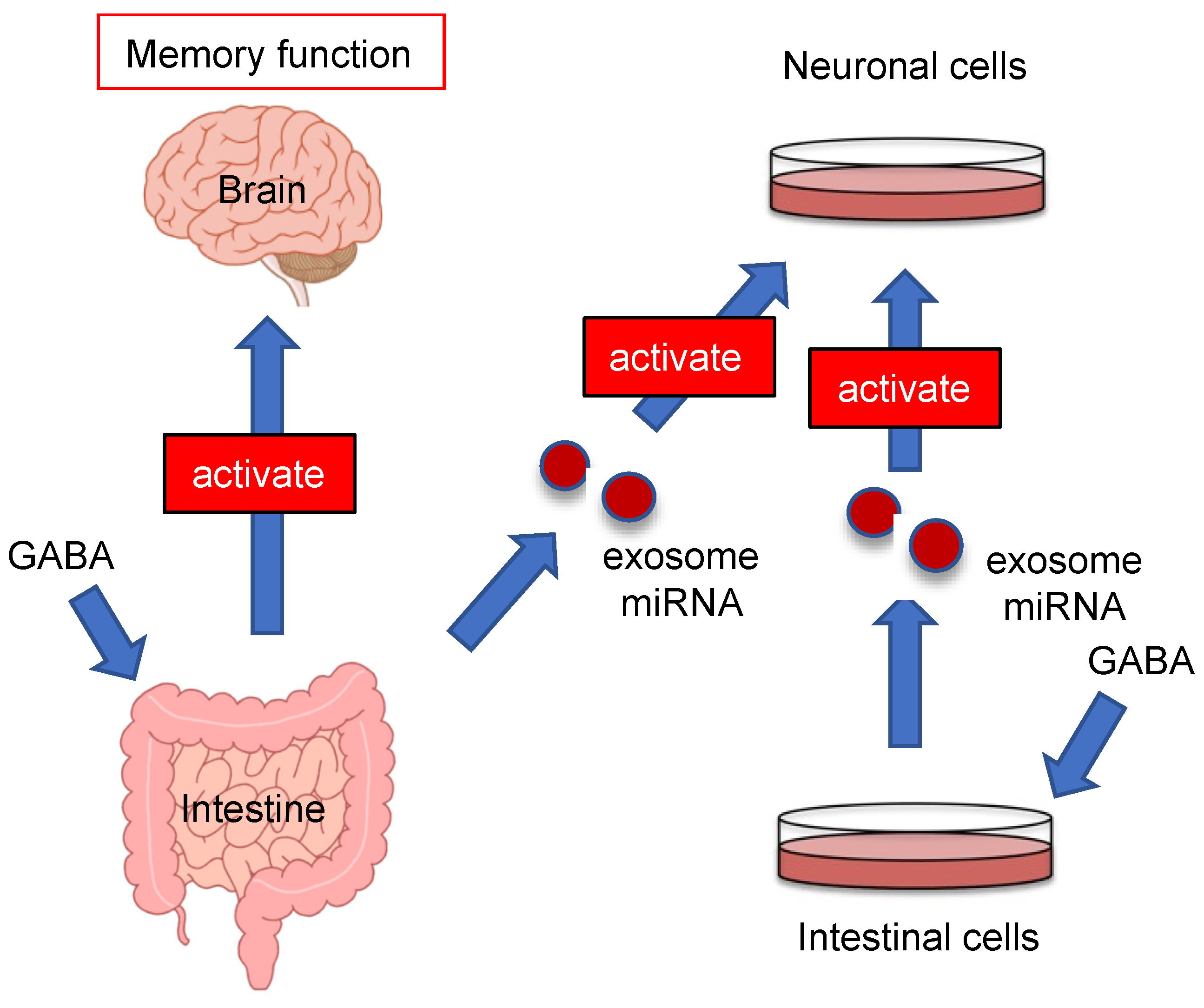 Nutrients 13 02544 g007