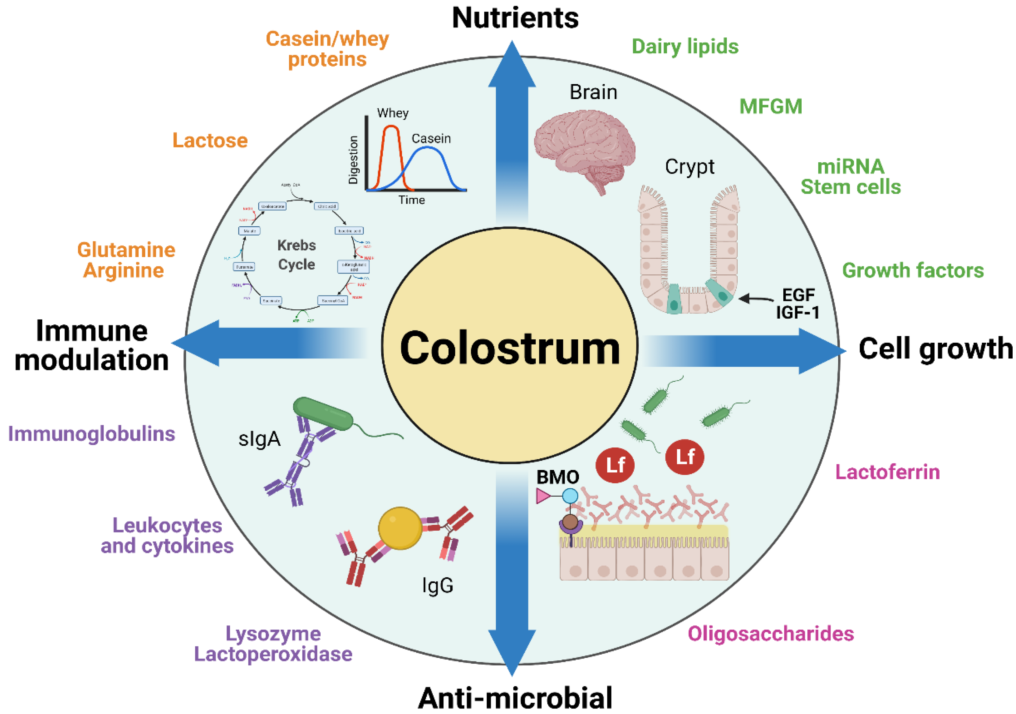 Nutrients 13 02551 g002