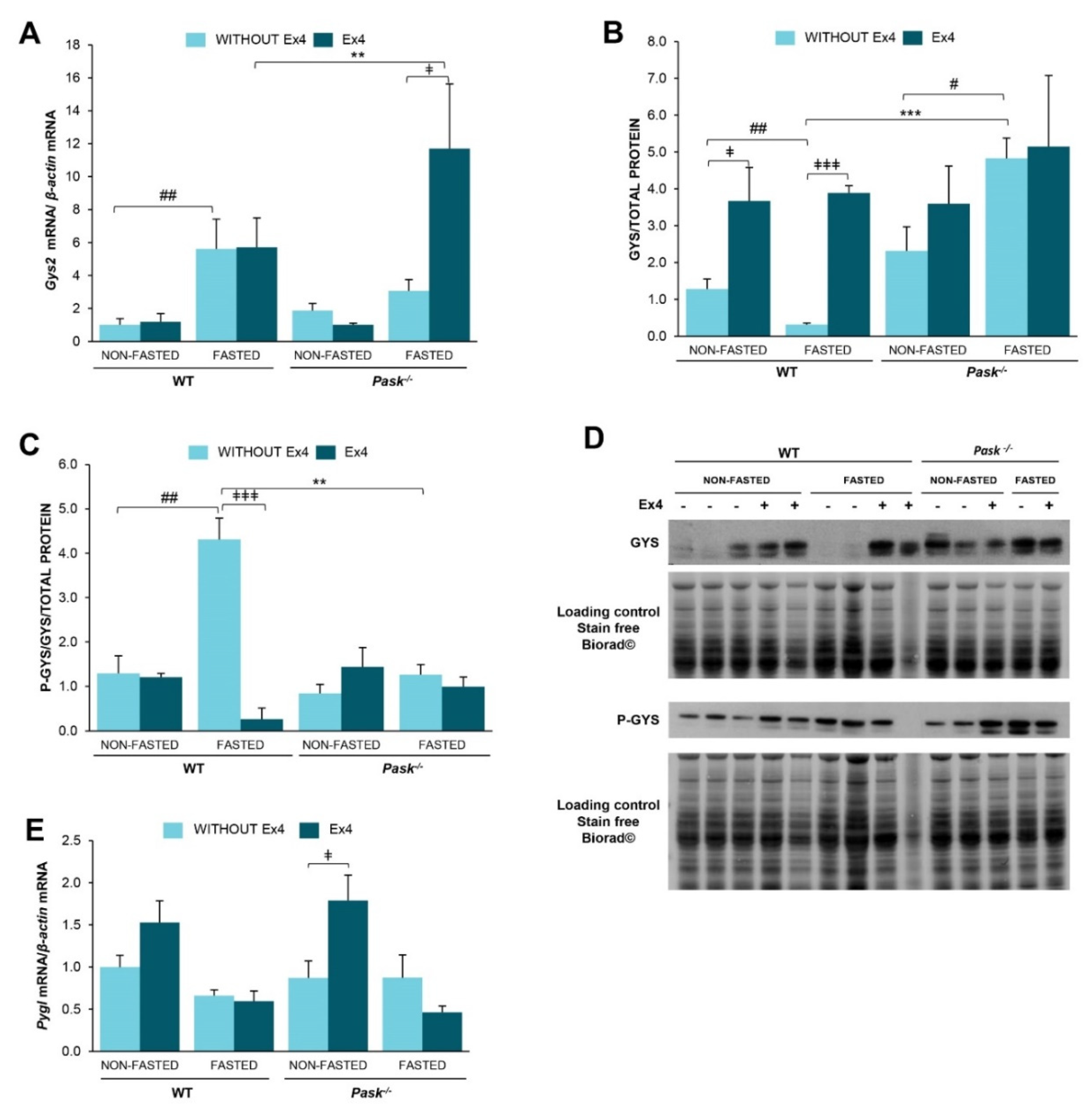 Nutrients 13 02552 g005