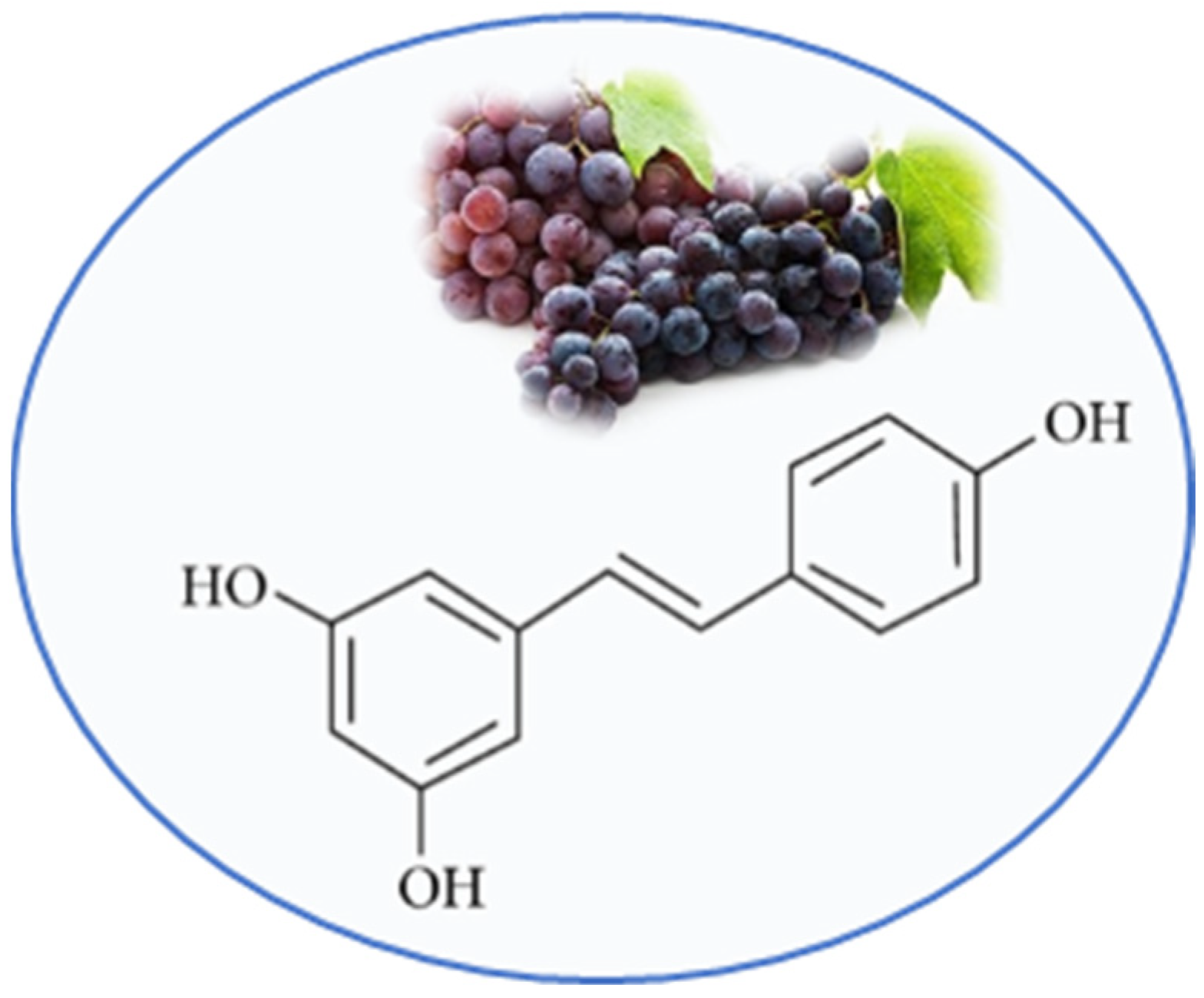 Nutrients 13 02557 g001