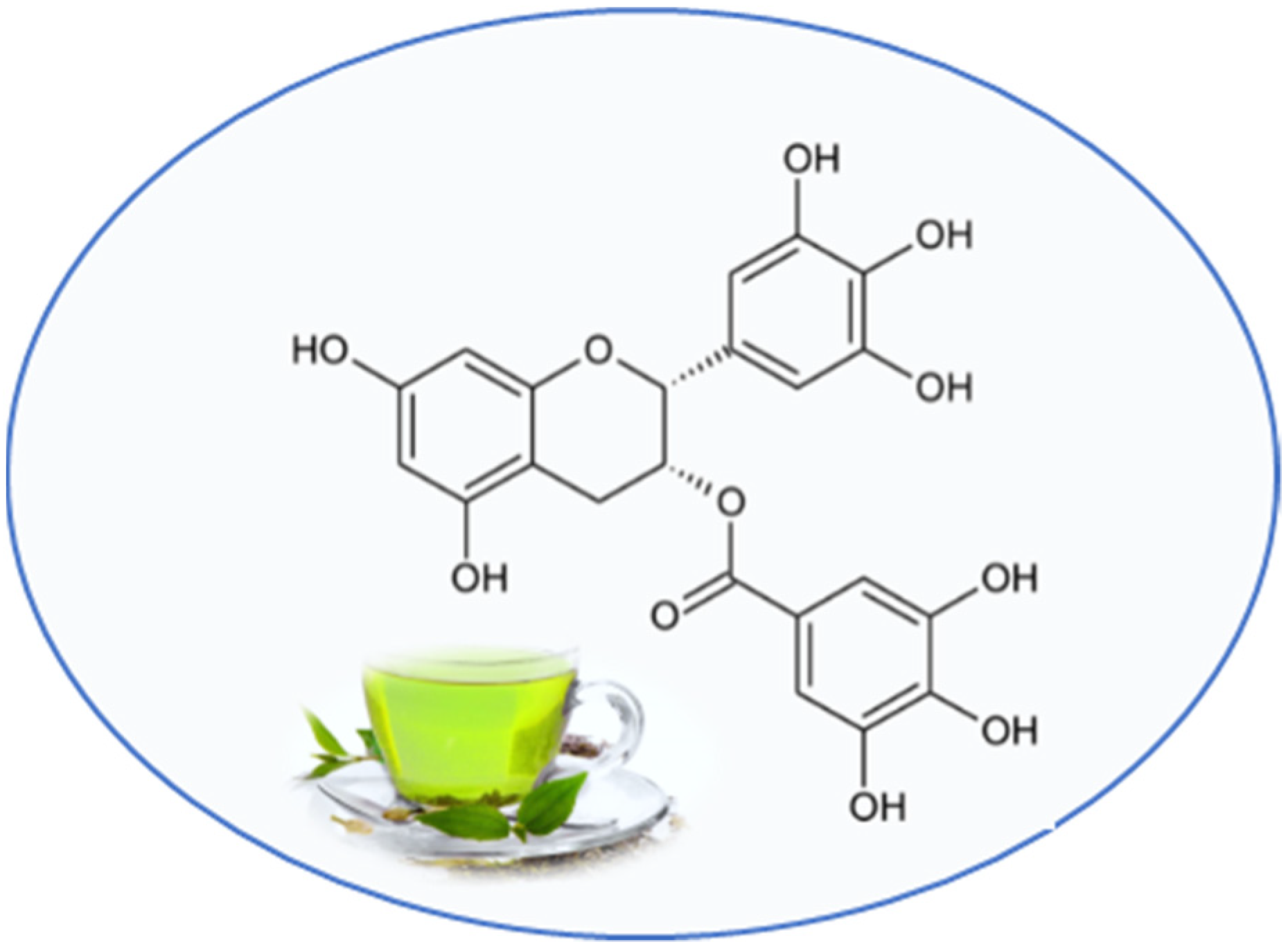 Nutrients 13 02557 g002