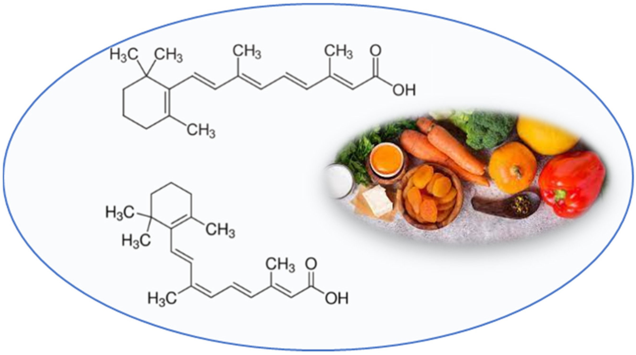 Nutrients 13 02557 g003