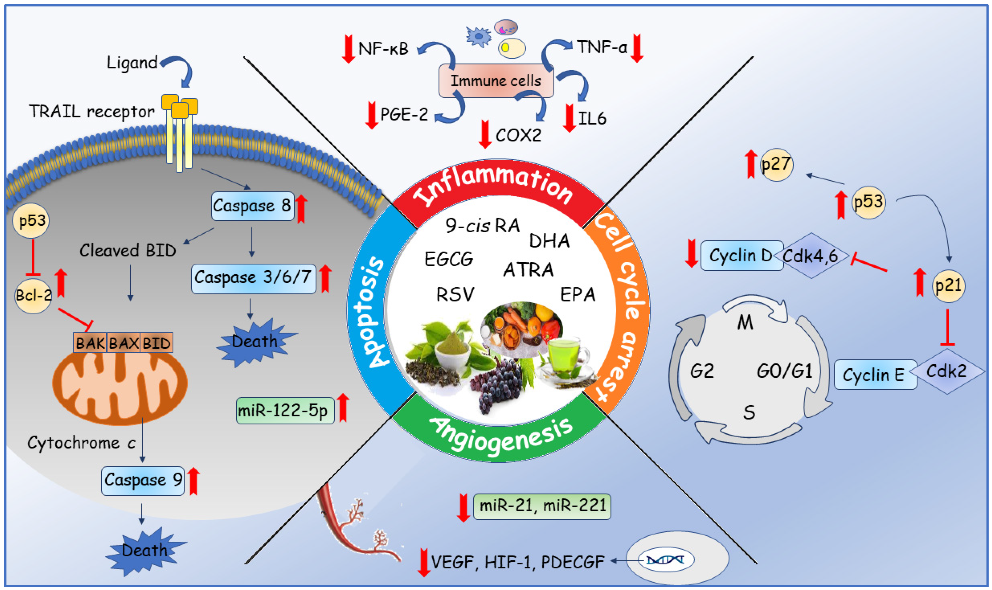 Nutrients 13 02557 g005