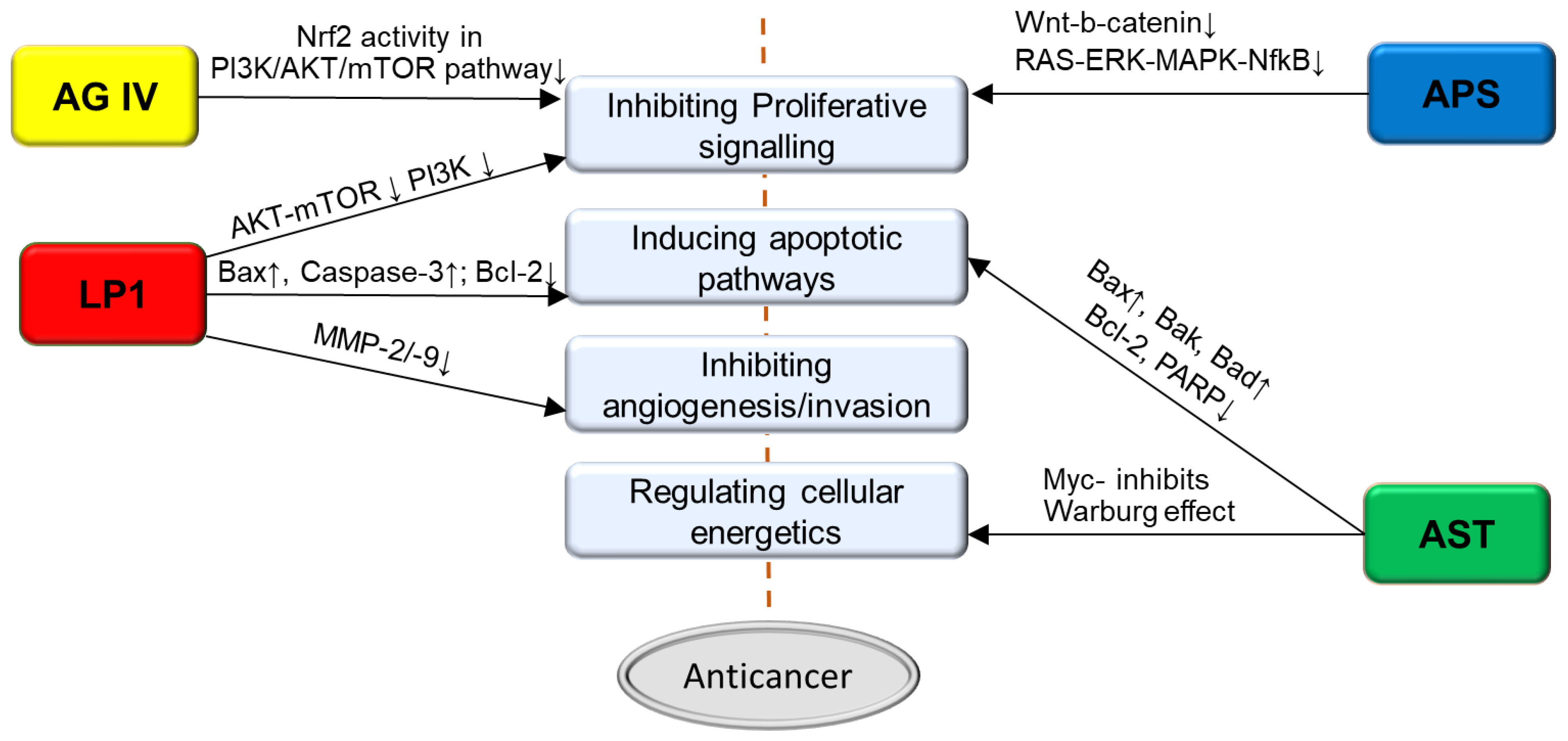 Nutrients 13 02564 g001