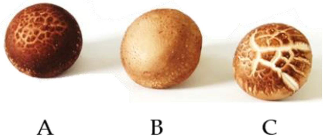 Nutrients 13 02564 g004