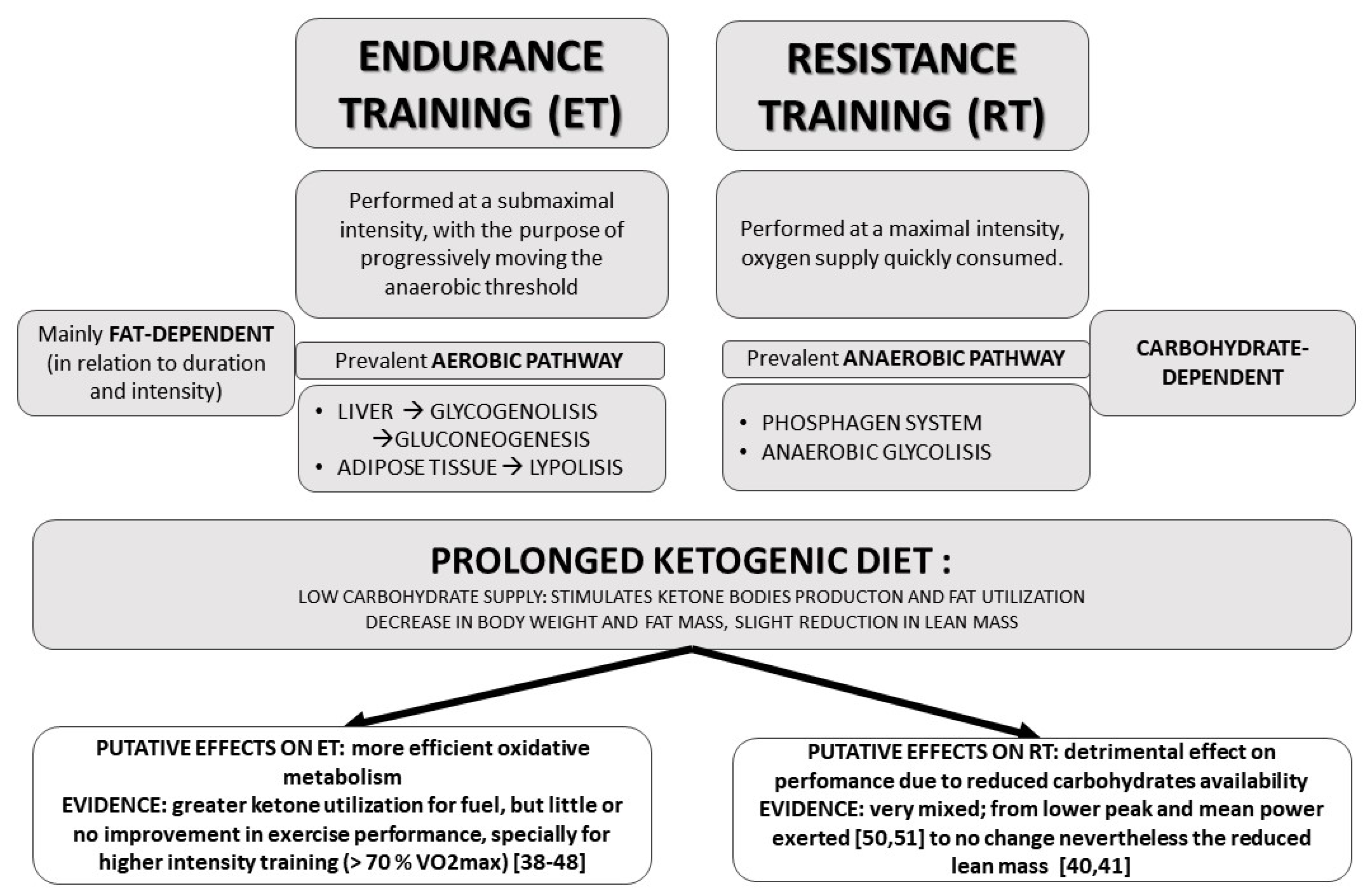 Nutrients 13 02567 g001