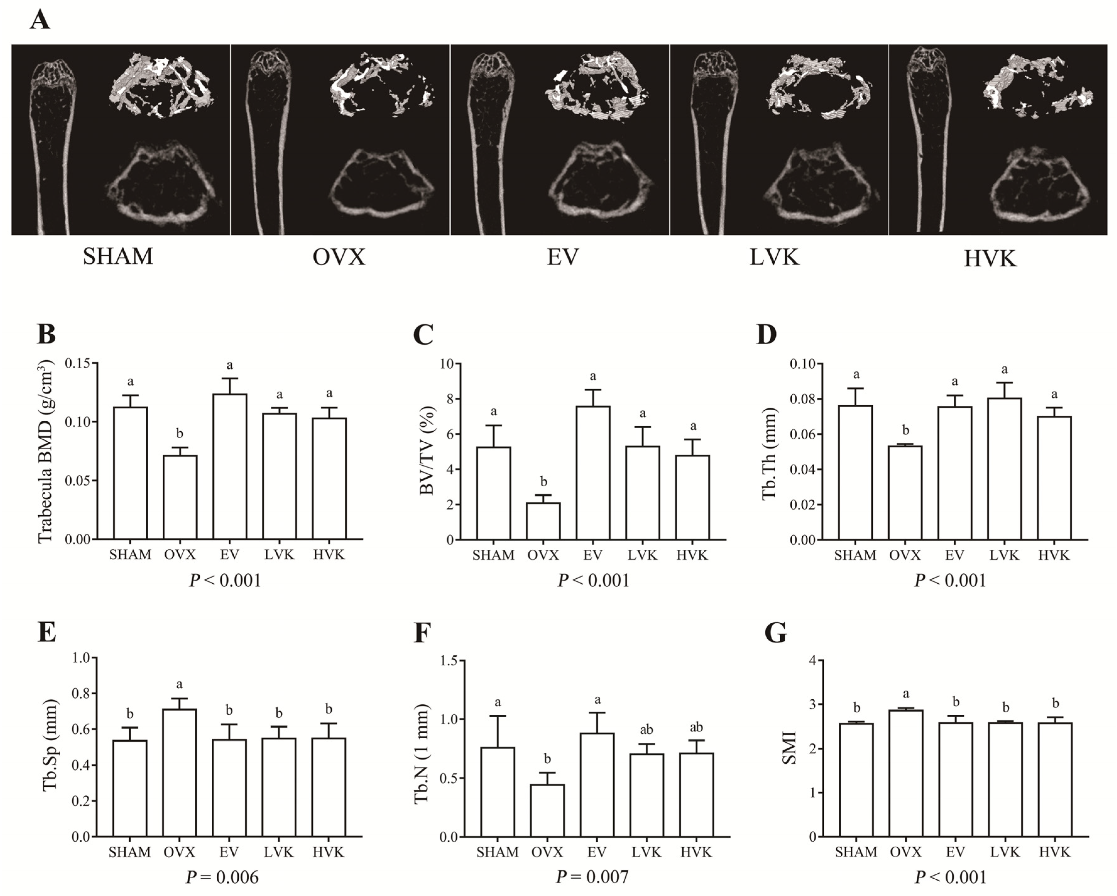 Nutrients 13 02570 g003