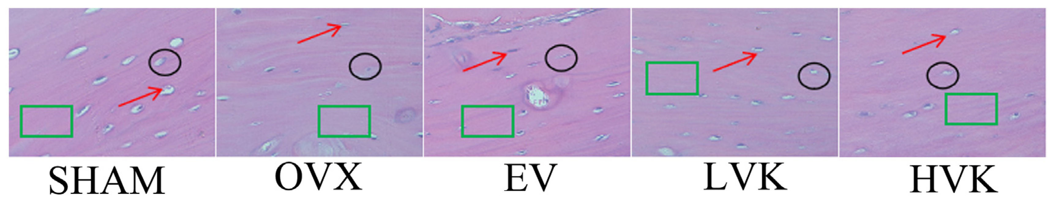 Nutrients 13 02570 g004