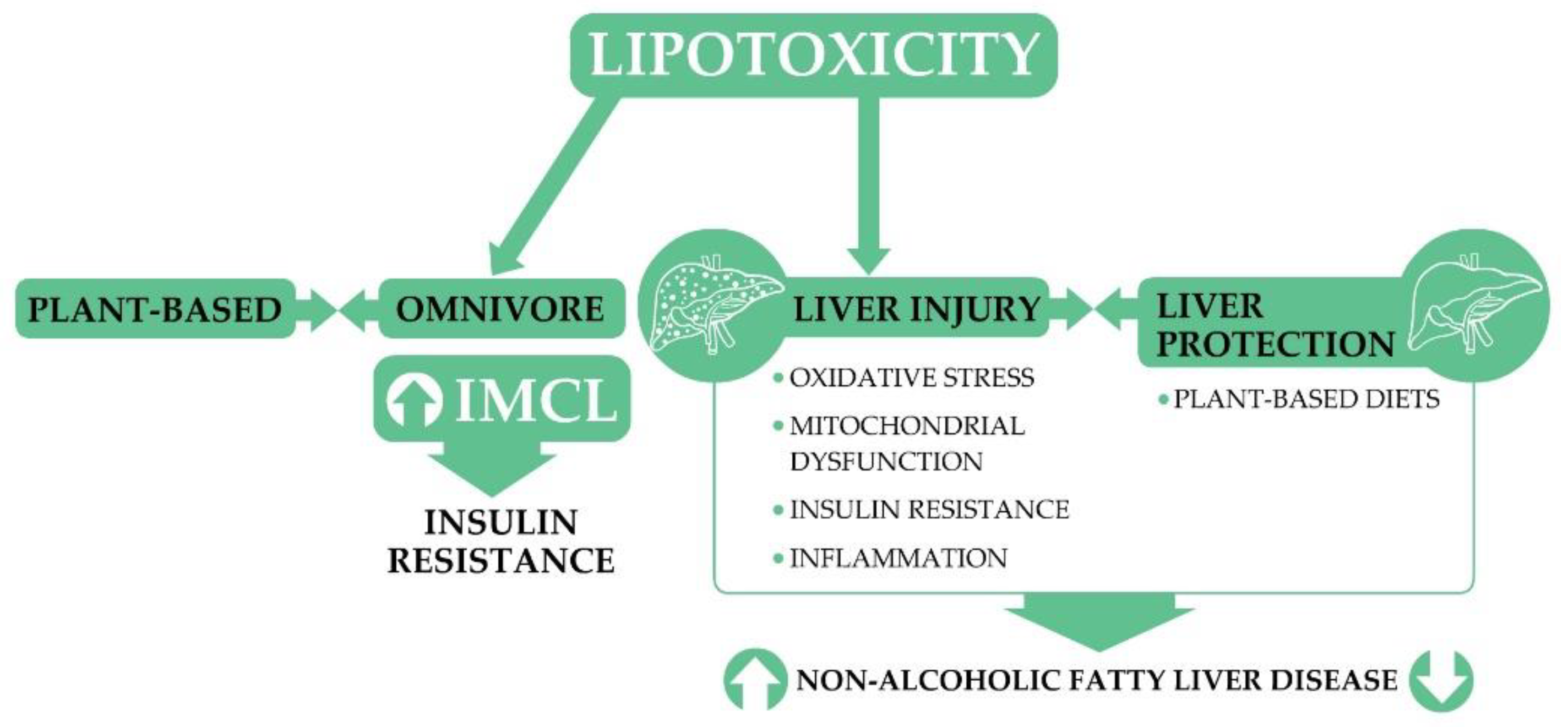 Nutrients 13 02593 g002 Nutrients 13 02593 g002