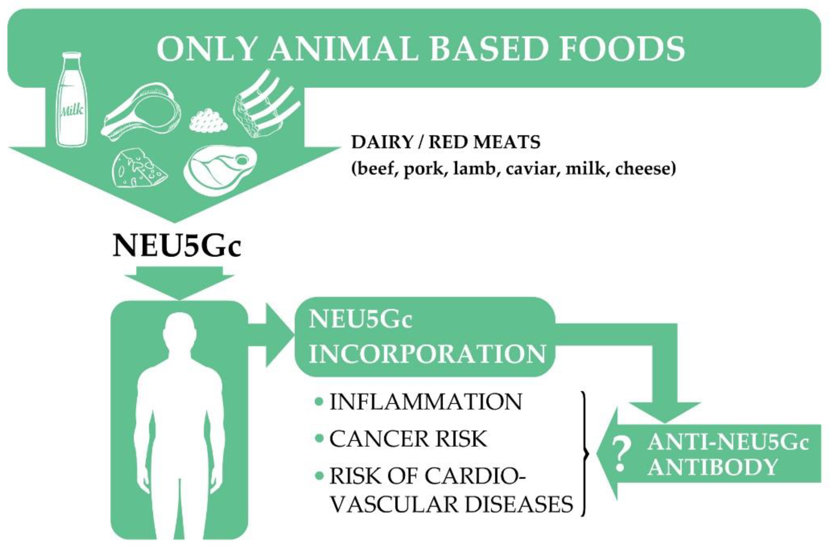 Nutrients 13 02593 g003 Nutrients 13 02593 g003