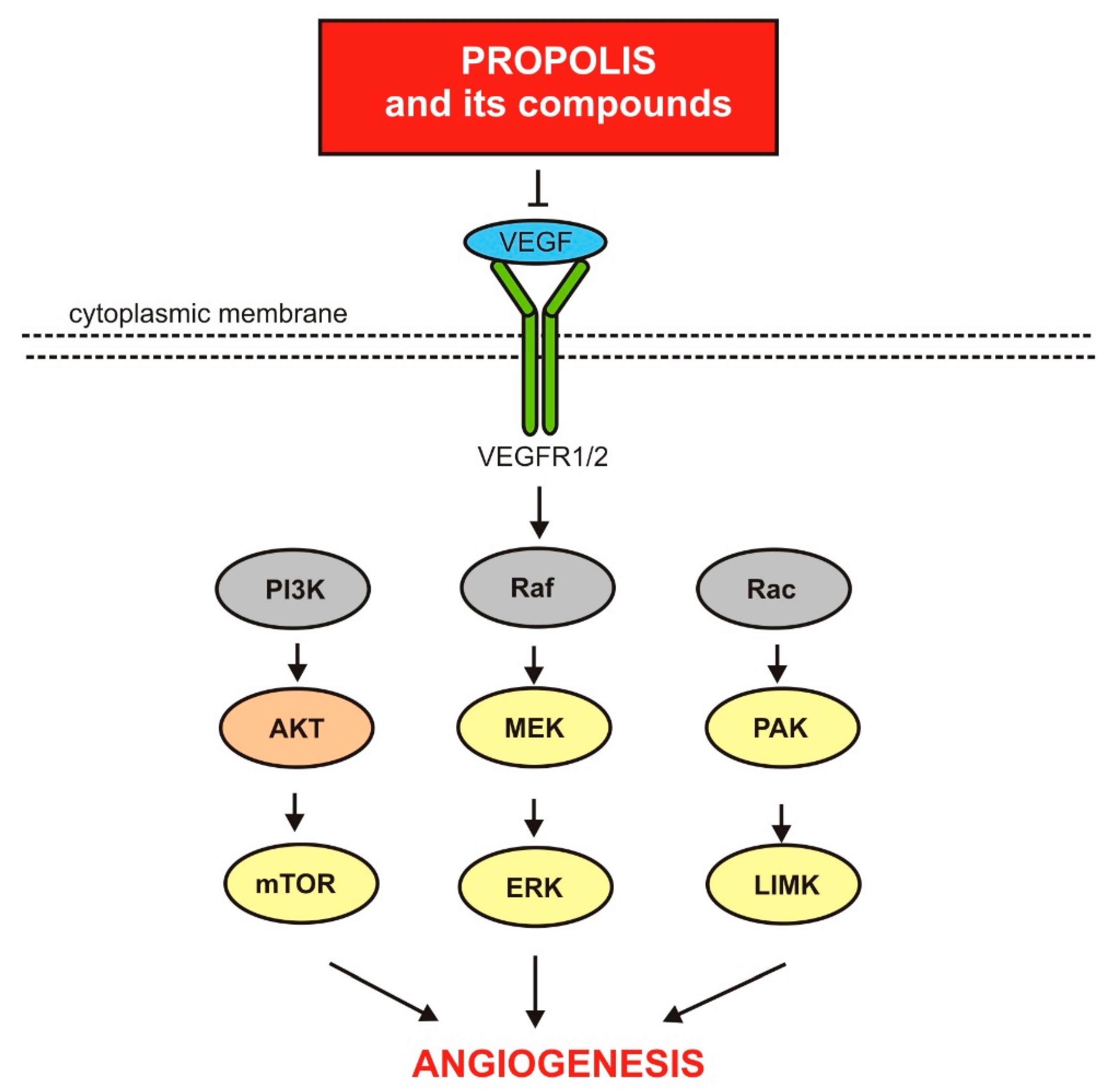 Nutrients 13 02594 g003 Nutrients 13 02594 g003