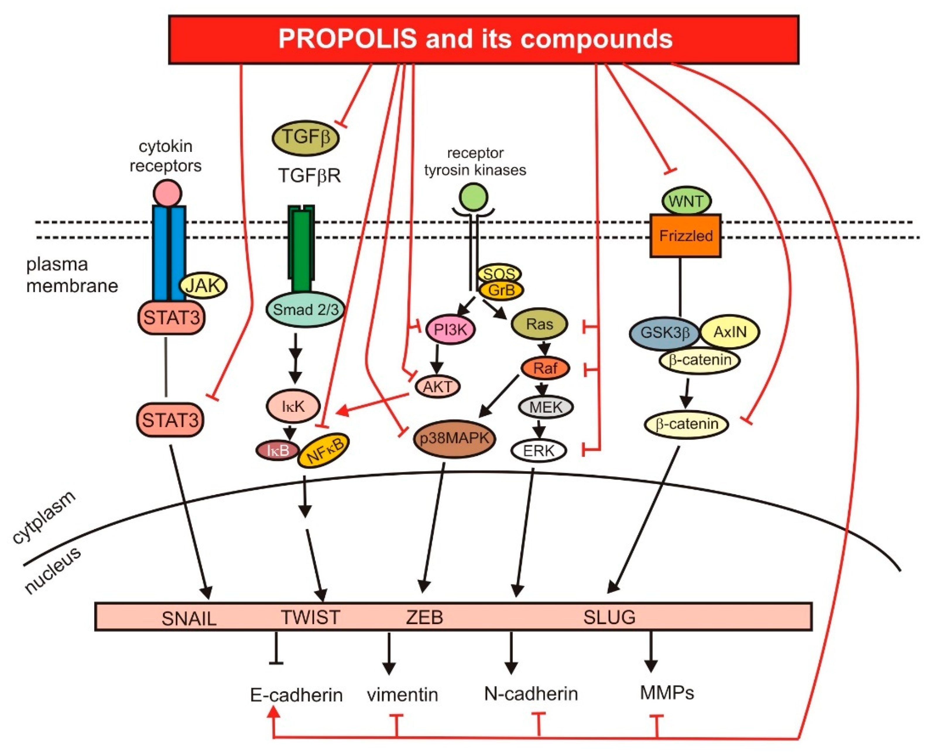 Nutrients 13 02594 g004 Nutrients 13 02594 g004