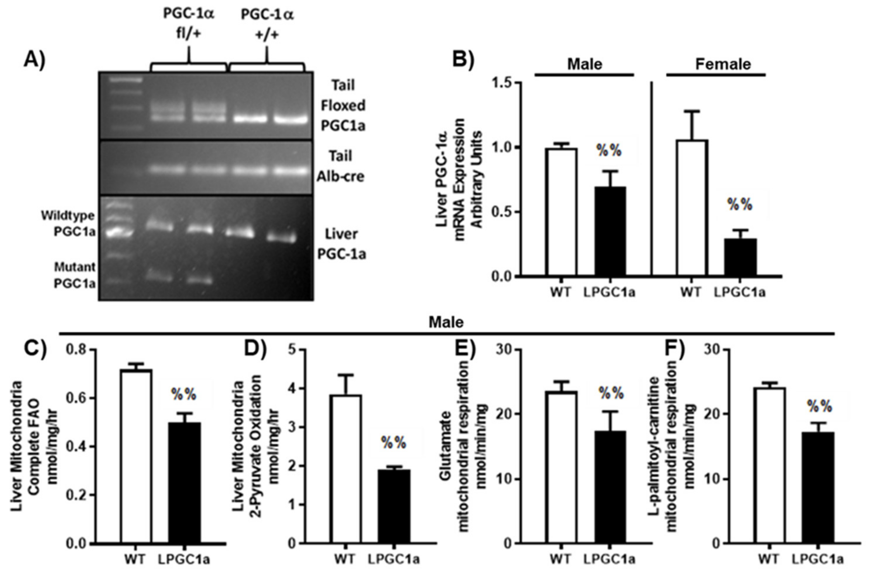 Nutrients 13 02596 g001 Nutrients 13 02596 g001