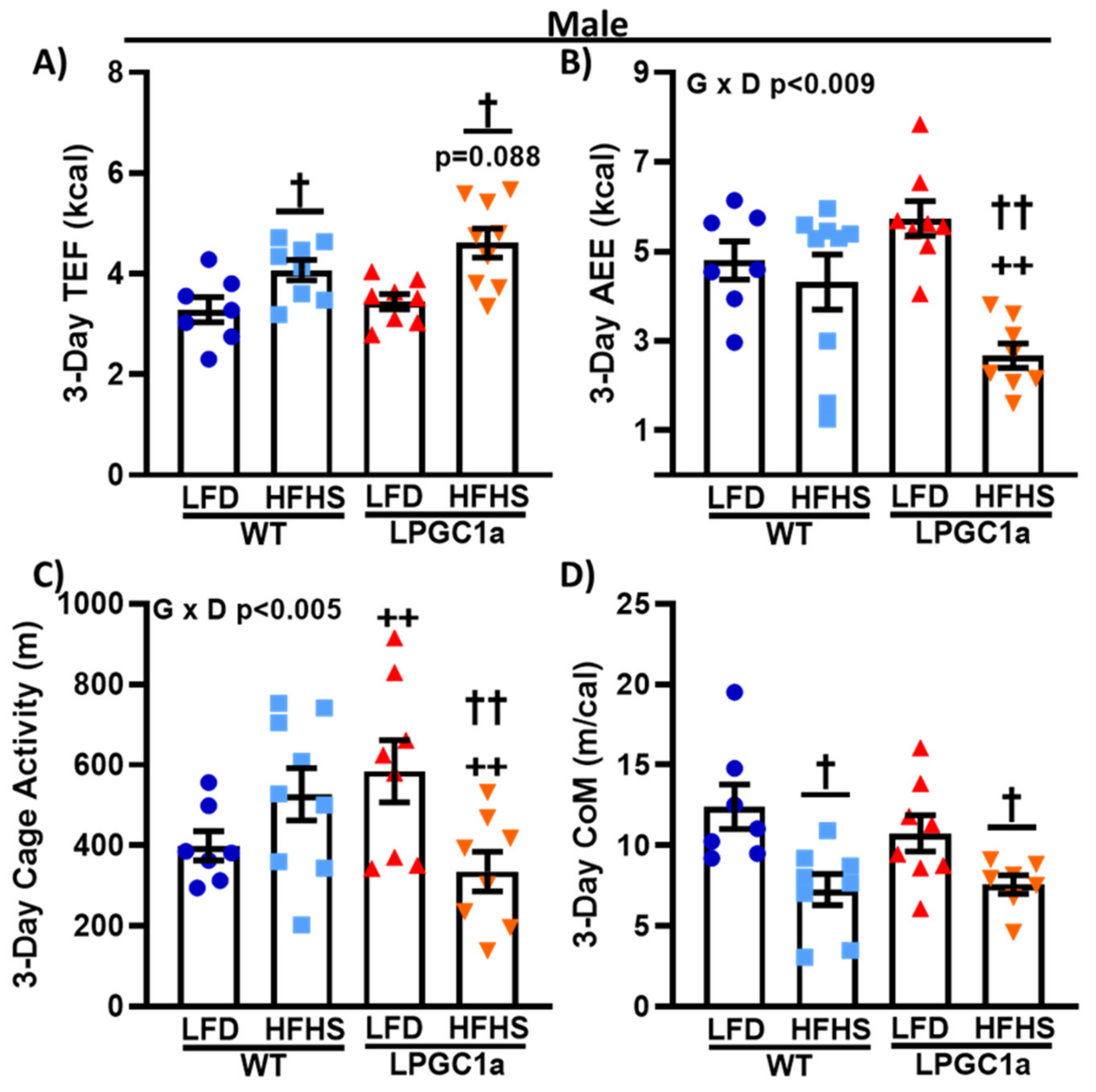 Nutrients 13 02596 g006 Nutrients 13 02596 g006
