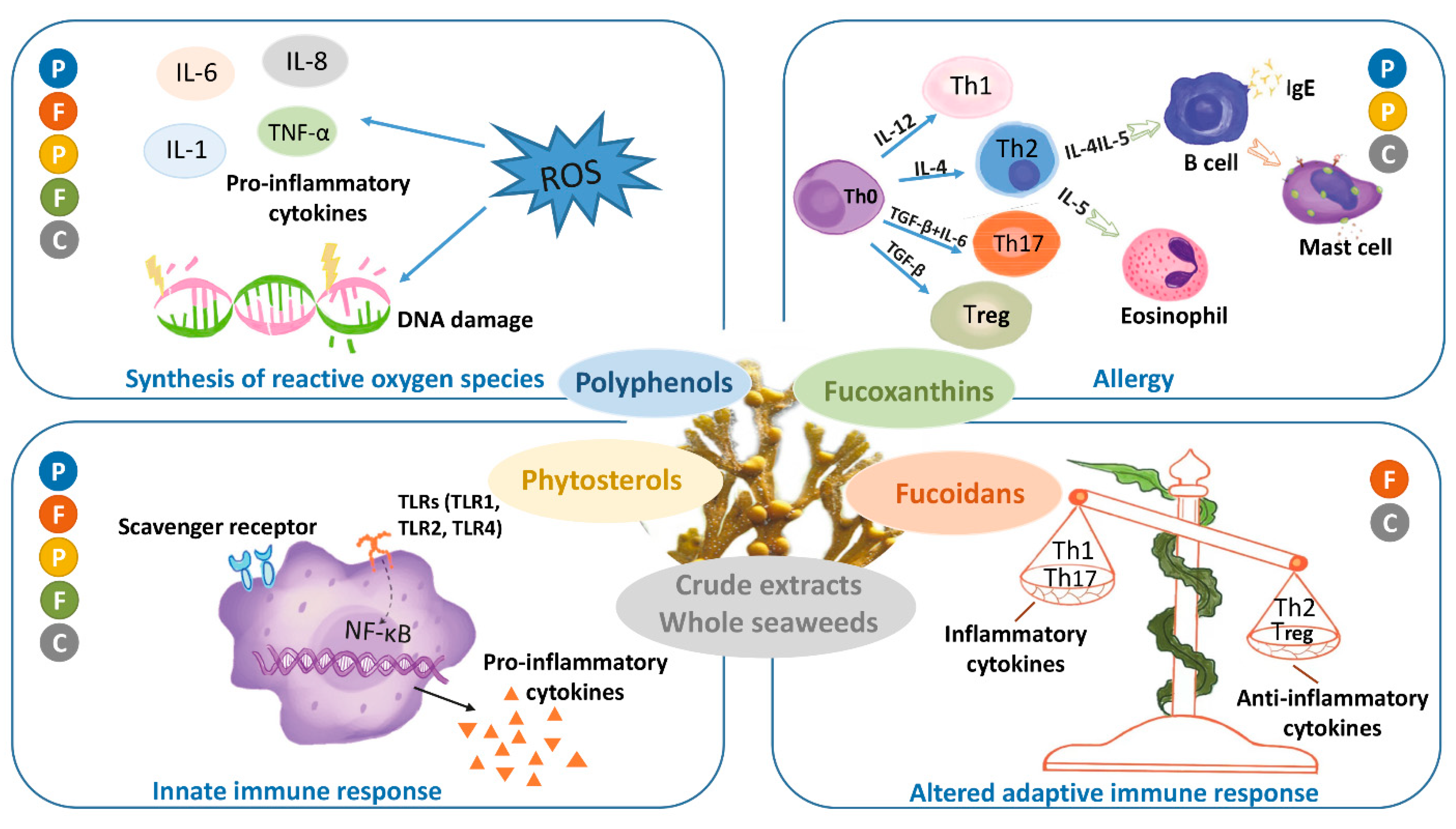 Nutrients 13 02613 g002 Nutrients 13 02613 g002