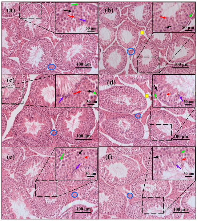 Nutrients 13 02616 g007 Nutrients 13 02616 g007